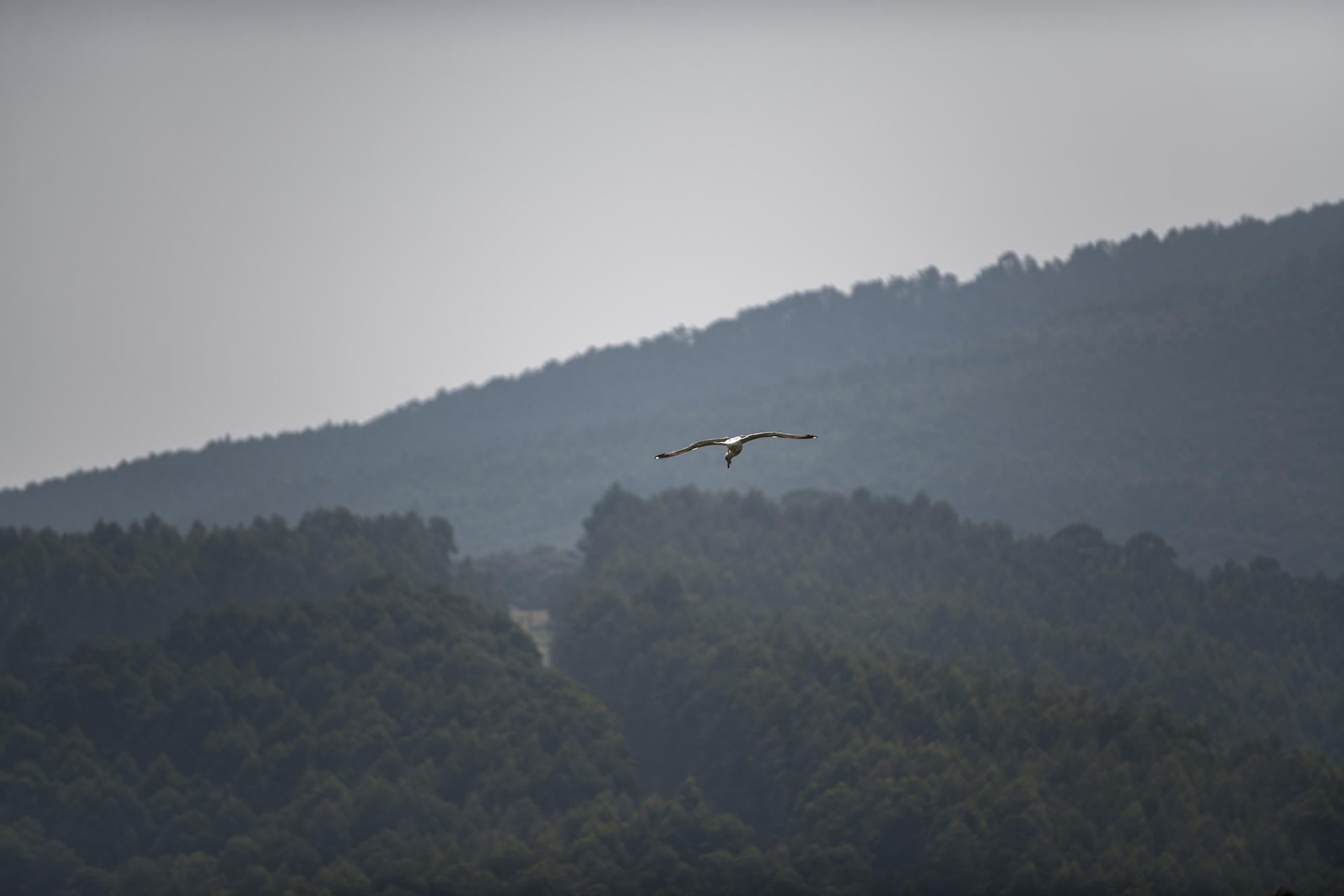 Euskal Herría julio 2022 playa montaña lemoniz - 2