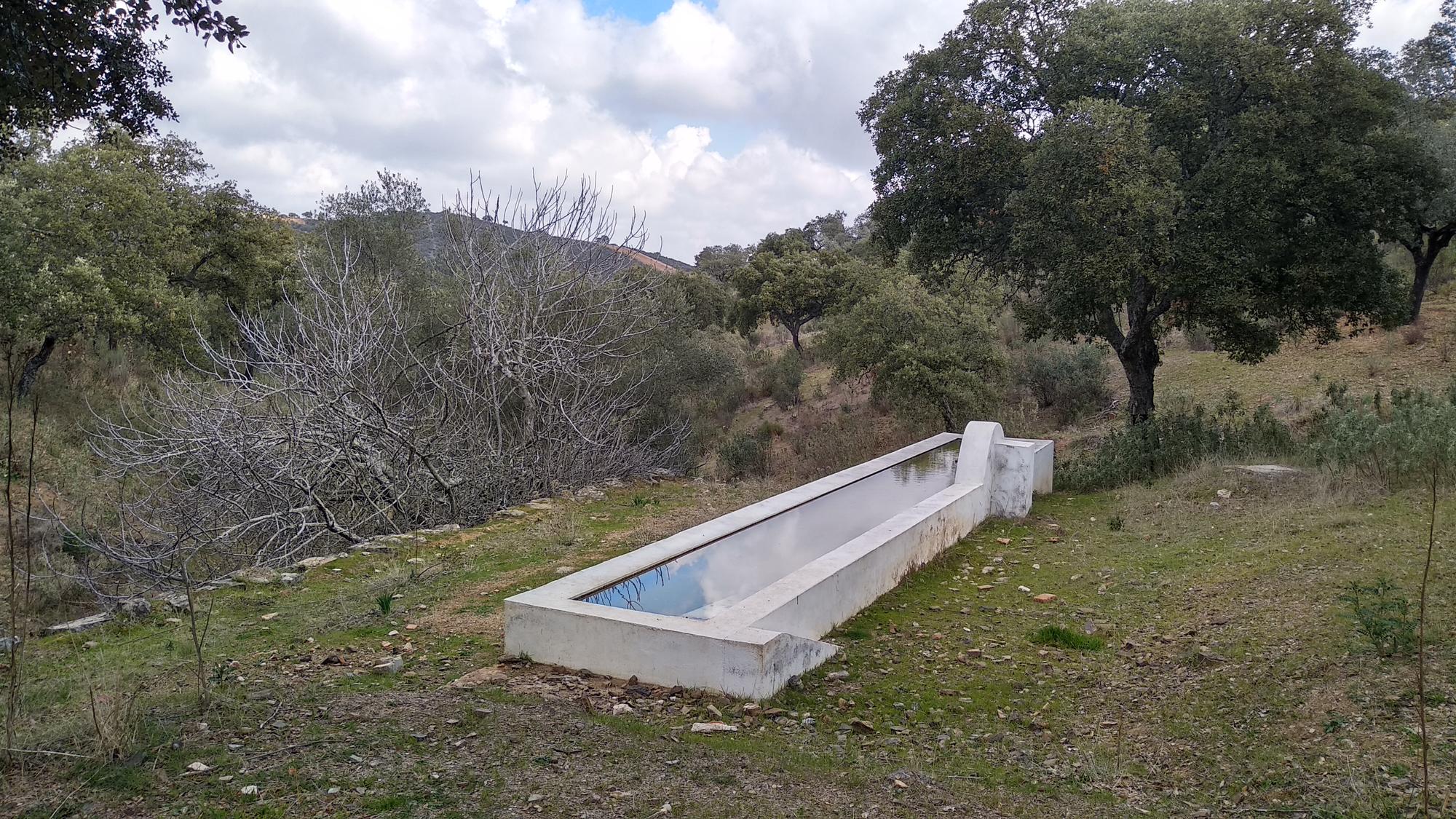 Abrevadero para ganado junto a la vereda del Salto de la Trocha en la Sierra Morena de Sevilla