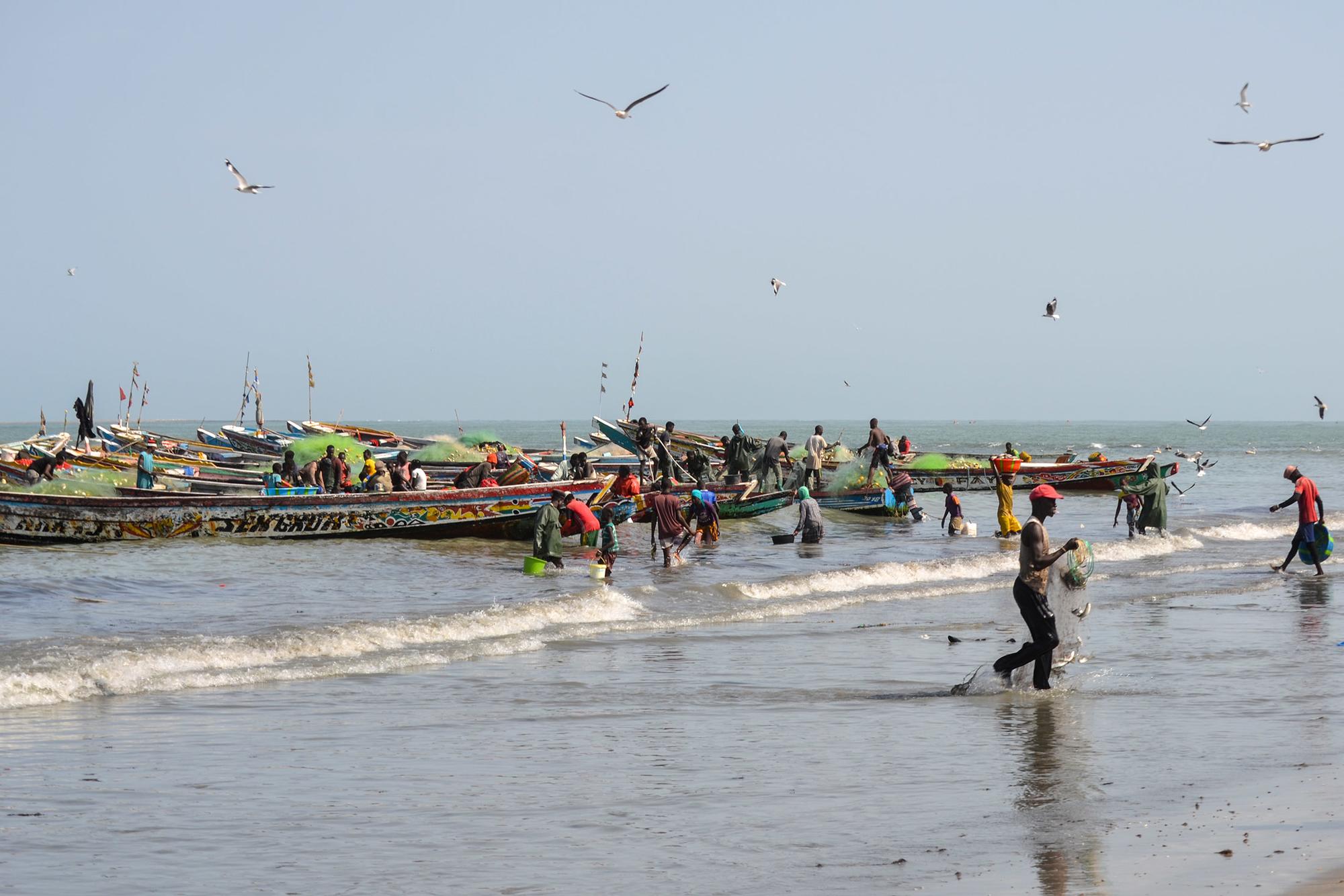 Pesca en Gambia 1