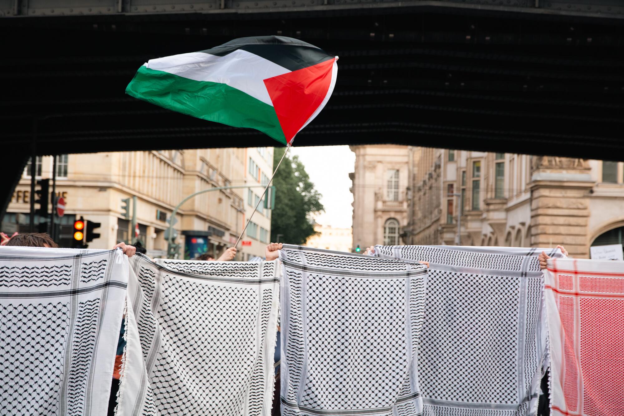 Homboldt Propalestina - 16