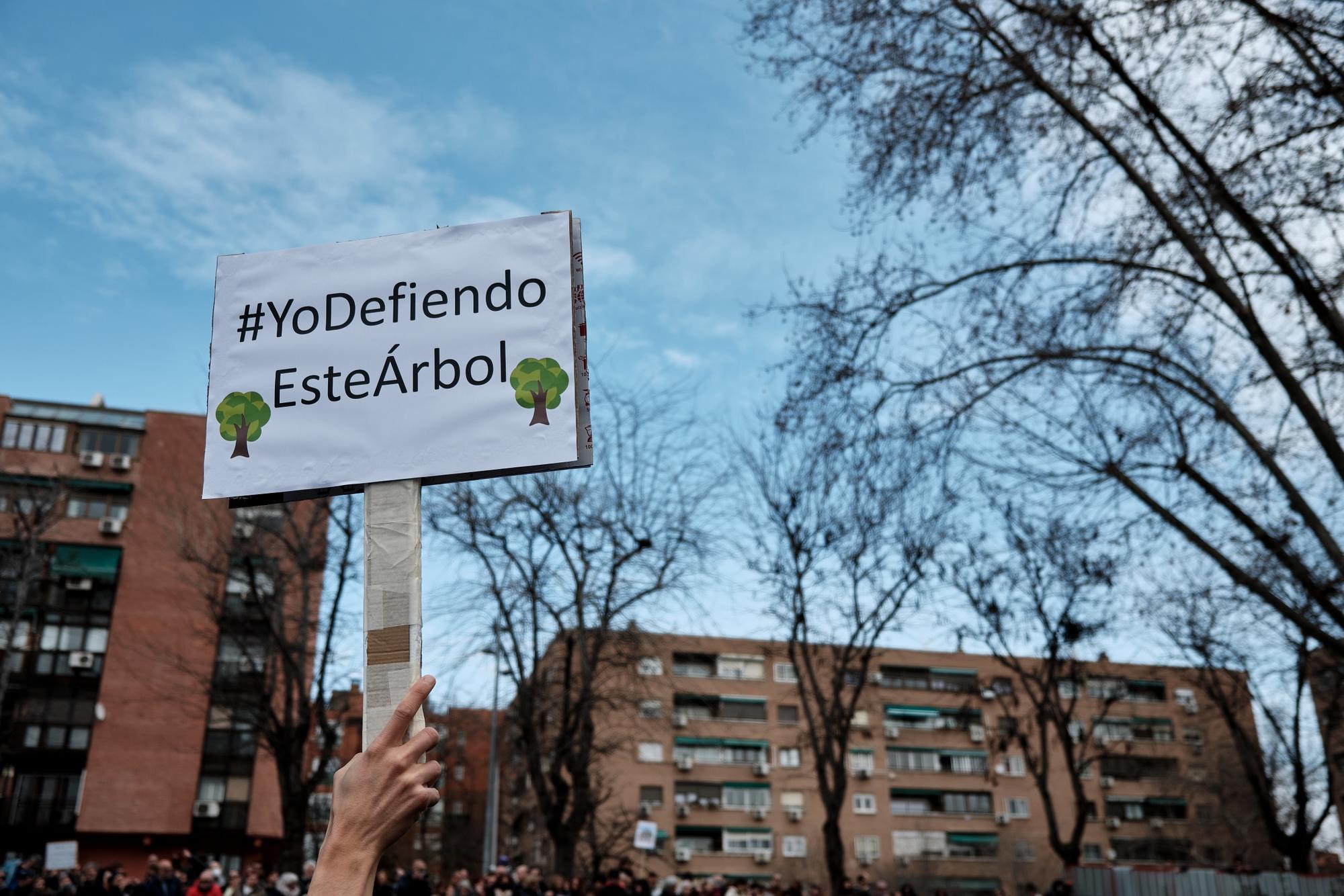 Defensa Arboles  - 6