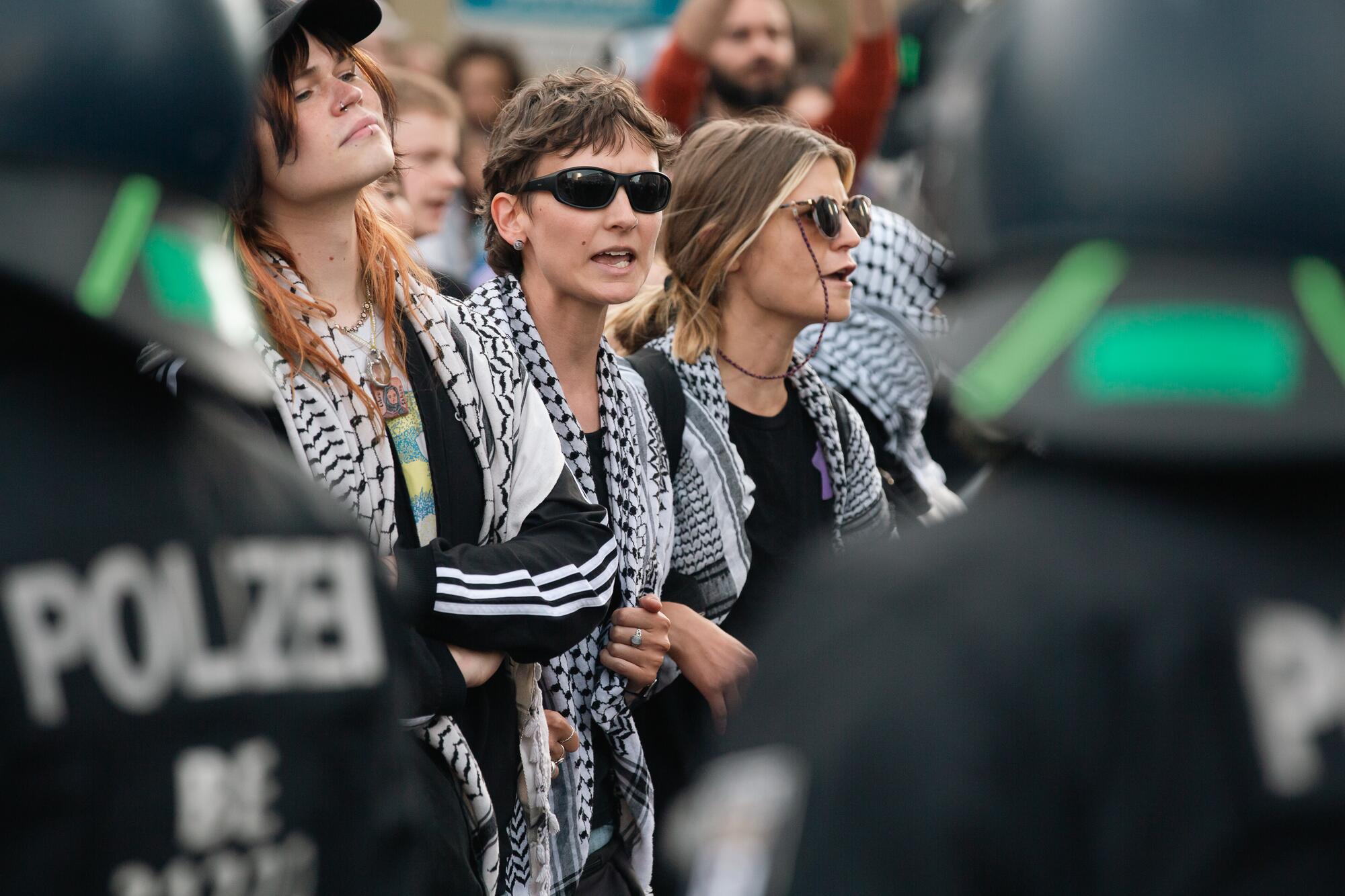 Homboldt Propalestina - 12
