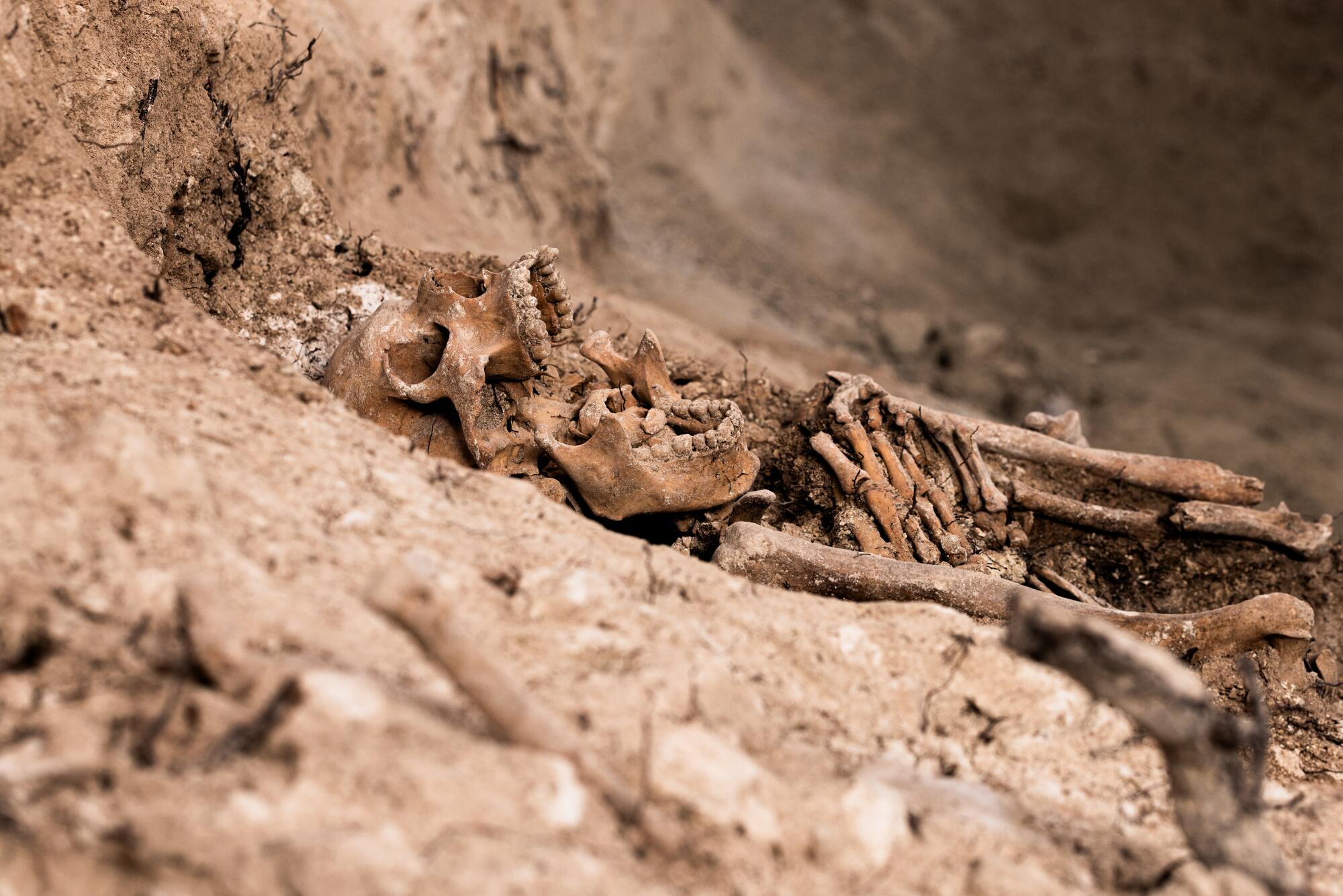 Exhumaciones represión franquista Padul - 1