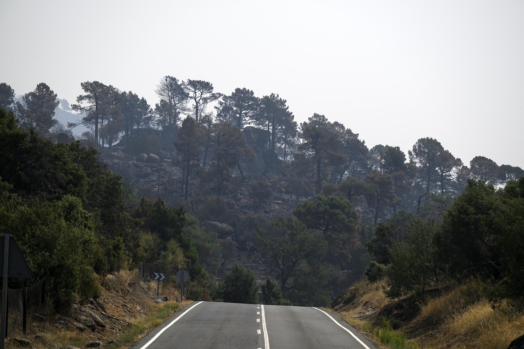 Incendio Navaluenga - 5