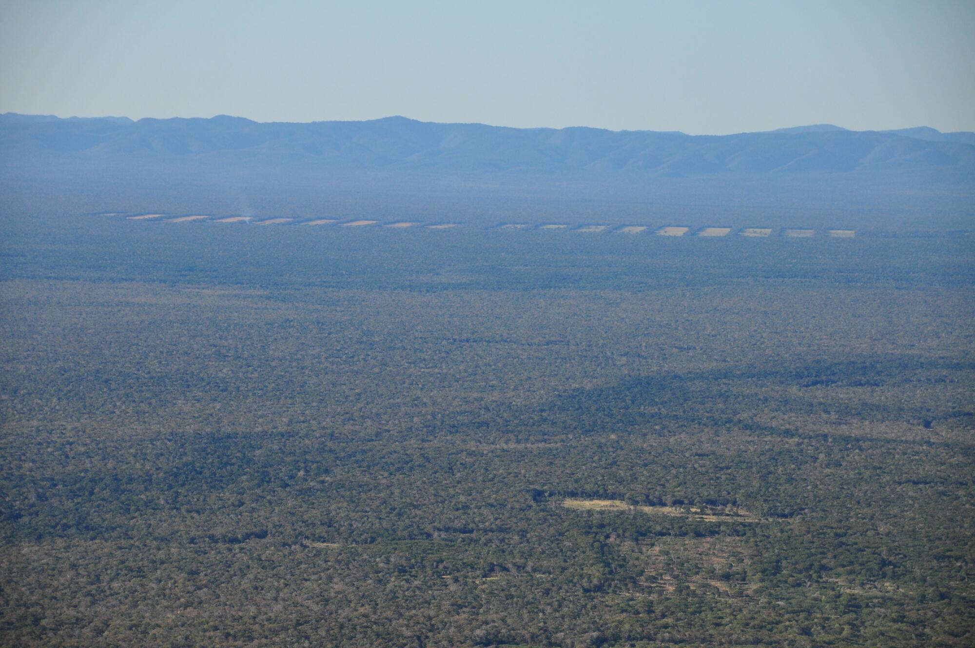 Bosque Seco Bolivia paisaje