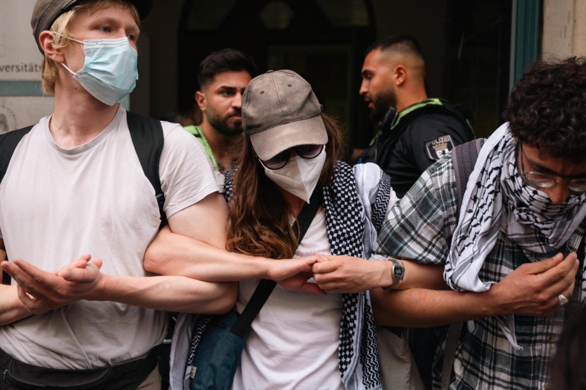 Homboldt Propalestina - 2
