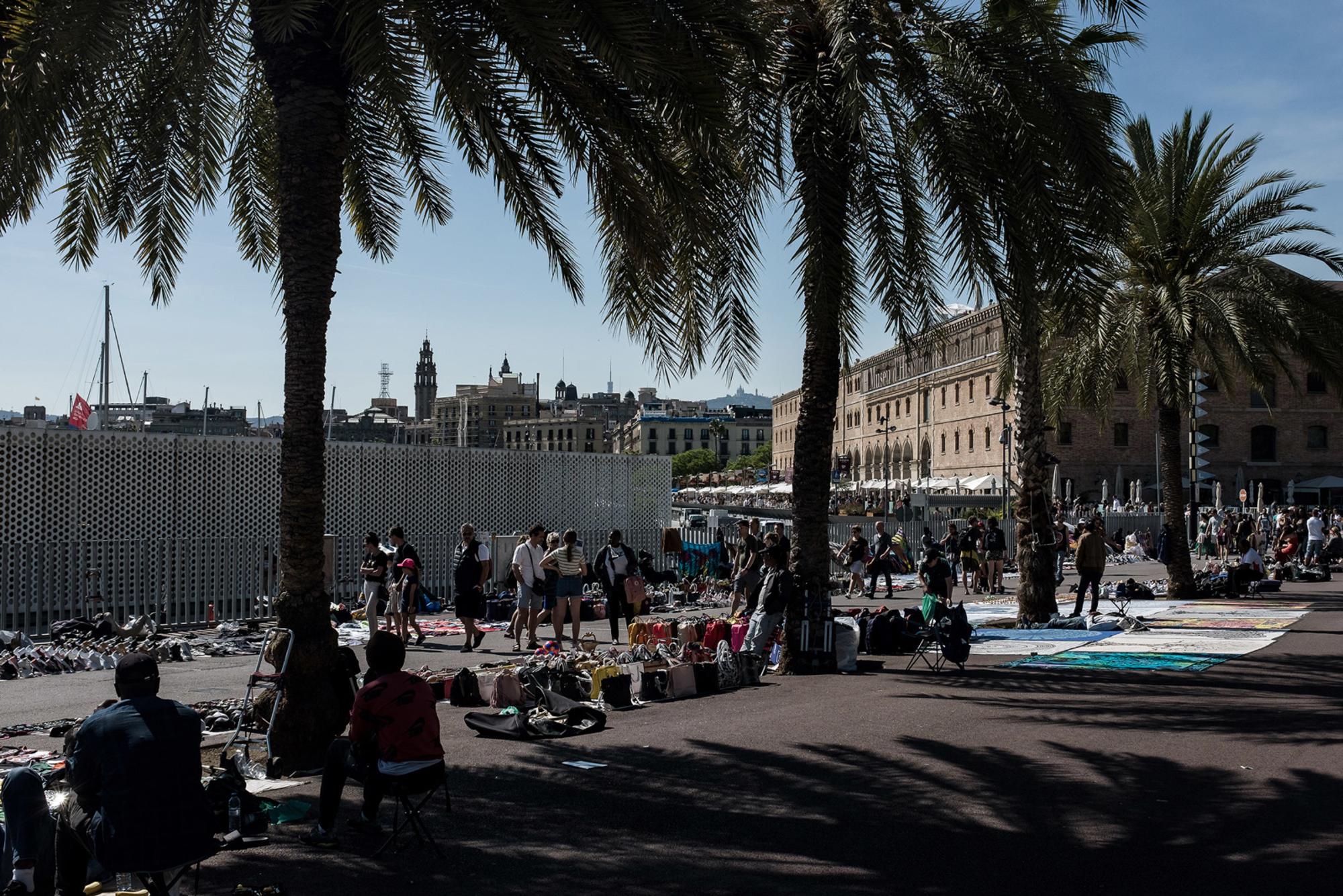 El Paseo de Juan de Borbón en Barcelona es uno de los puntos de más colapso de la zona en verano