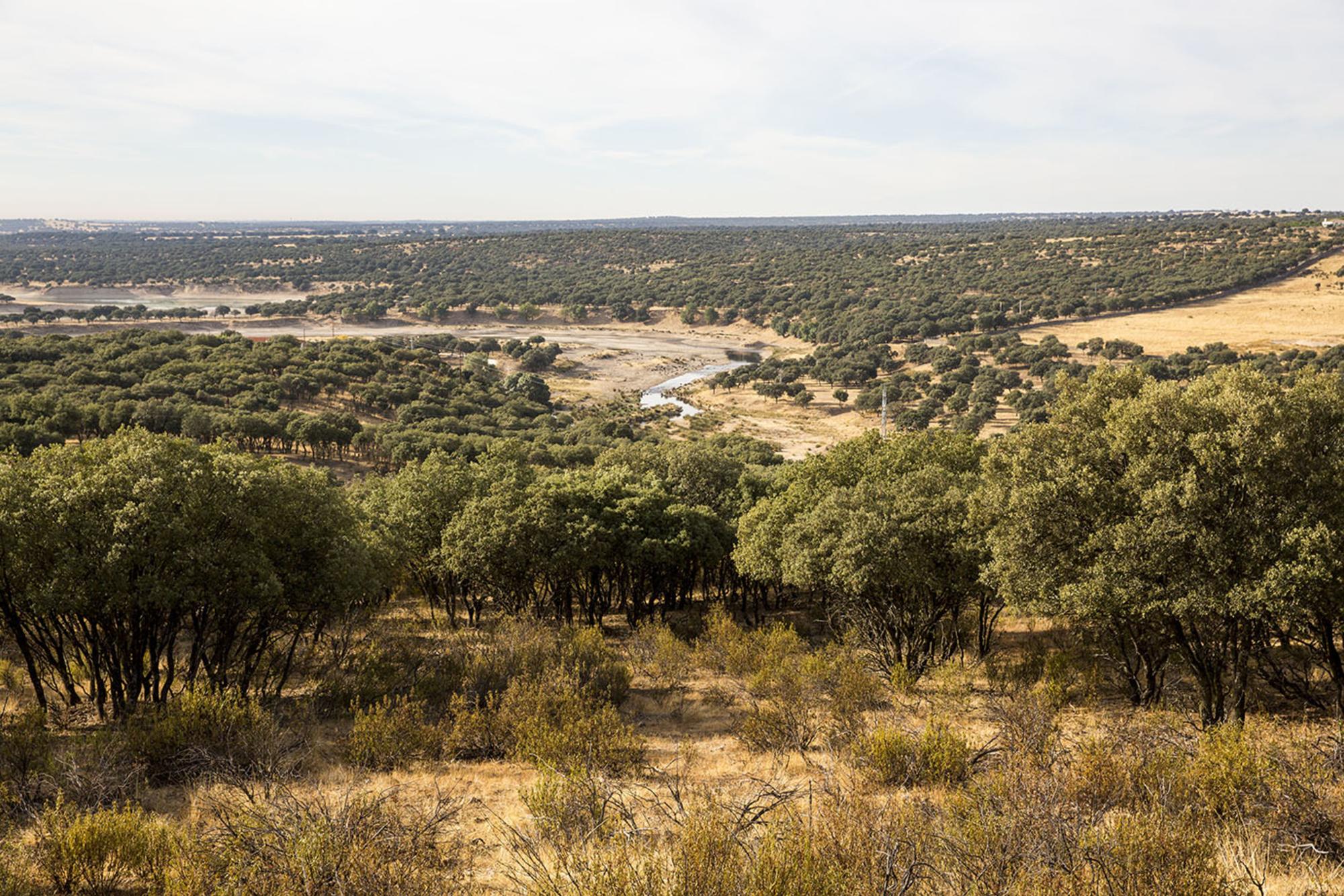 El Manzanares, a su paso por El Pardo.