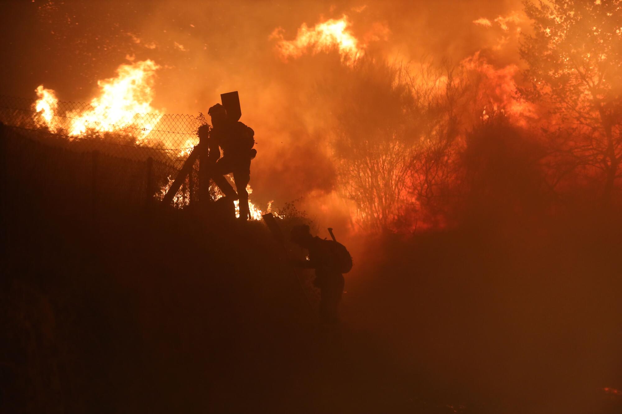 Incendio Cima de Vila, Concello de Pantón, Lugo - 10