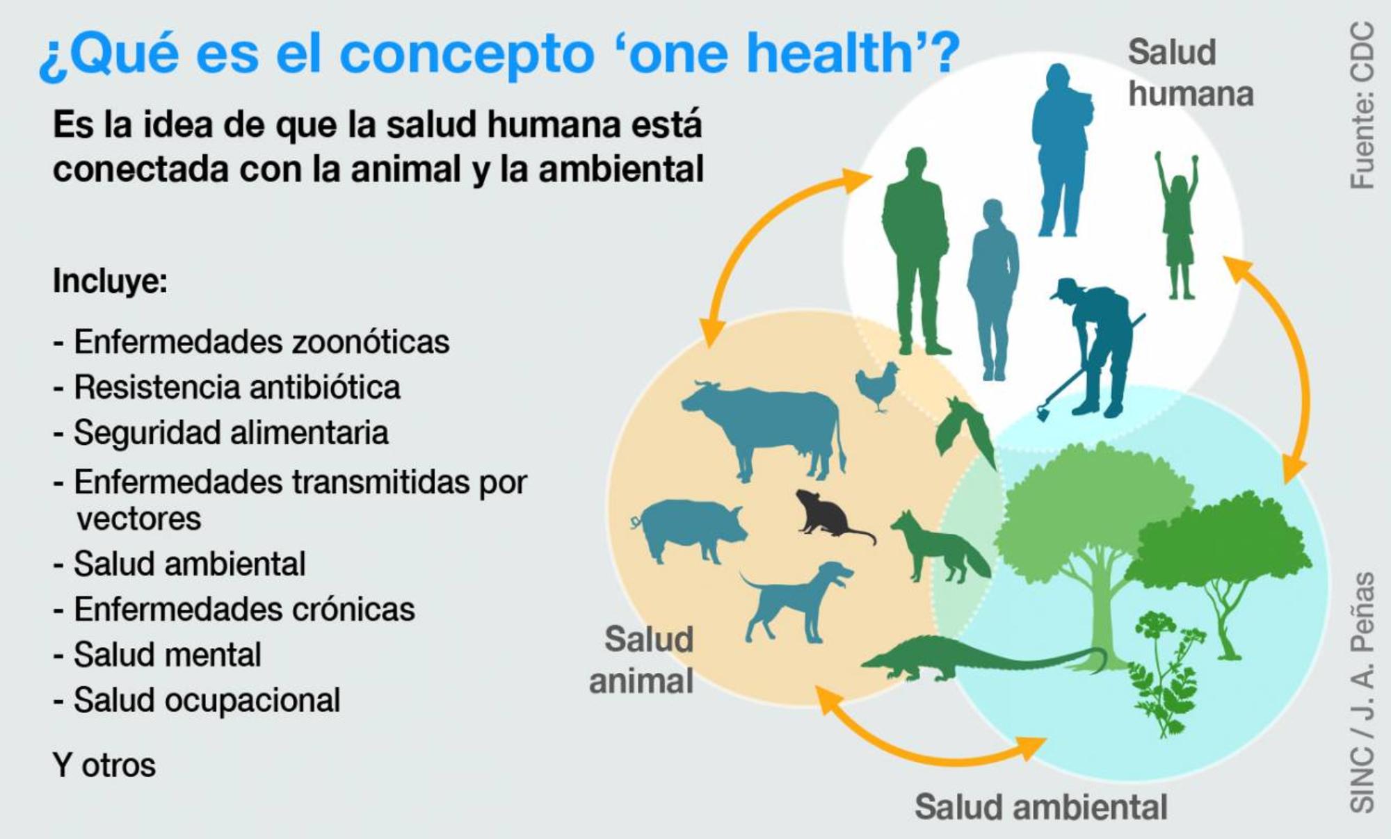 Concepto "one health"