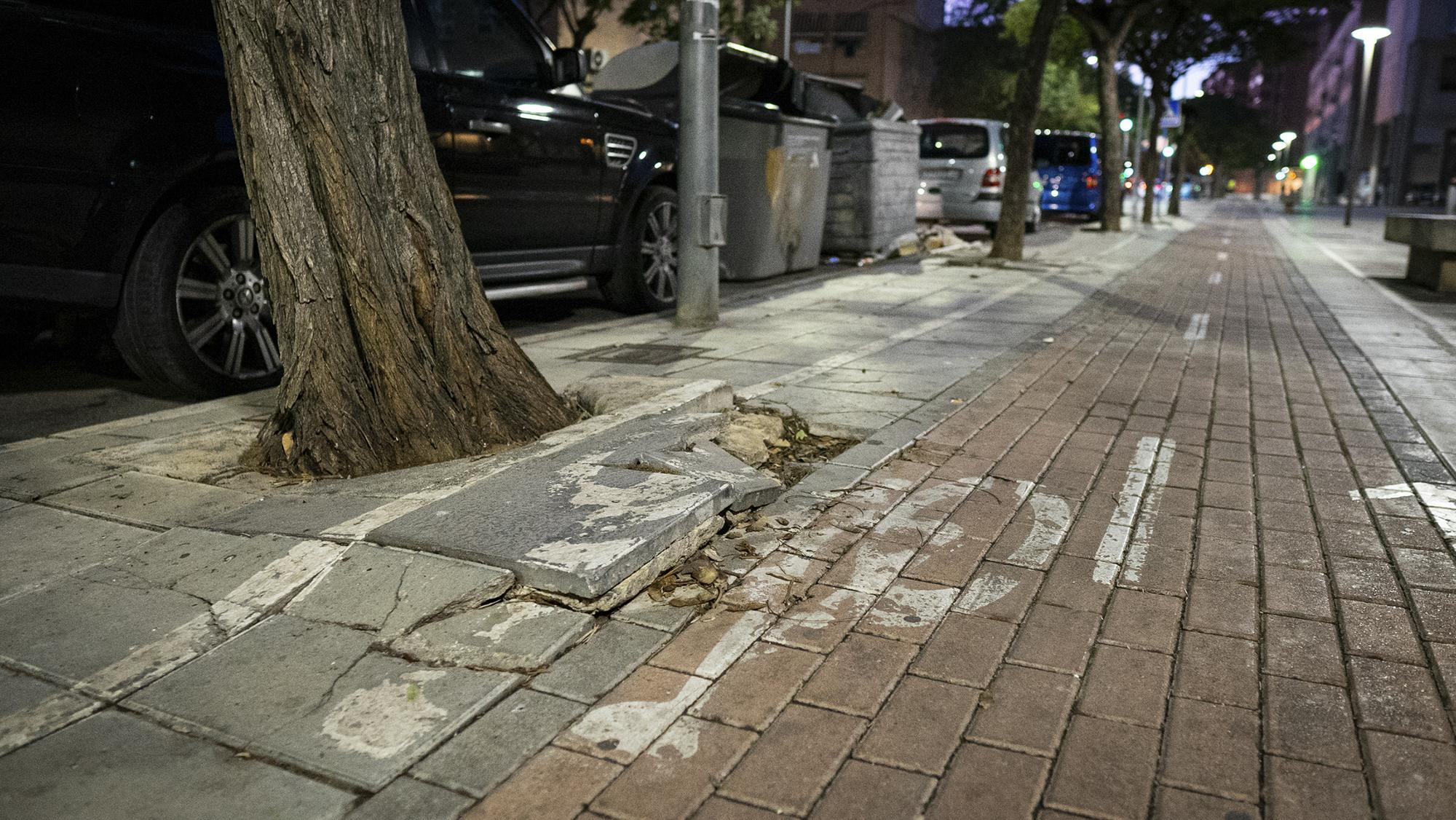 Estado de los barrios en la zona Norte de Alicante - 4