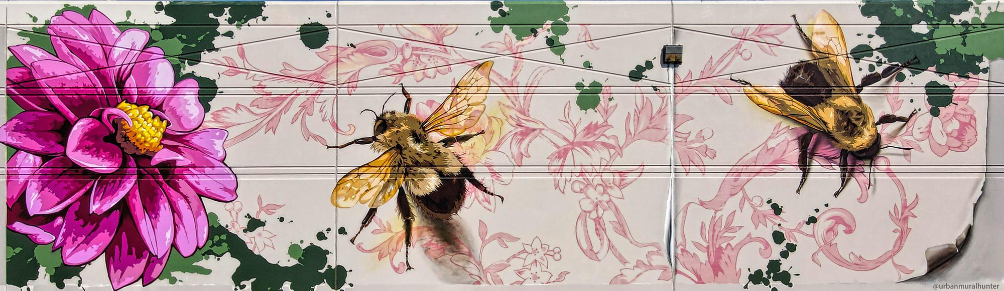 Terence Faircloth bee