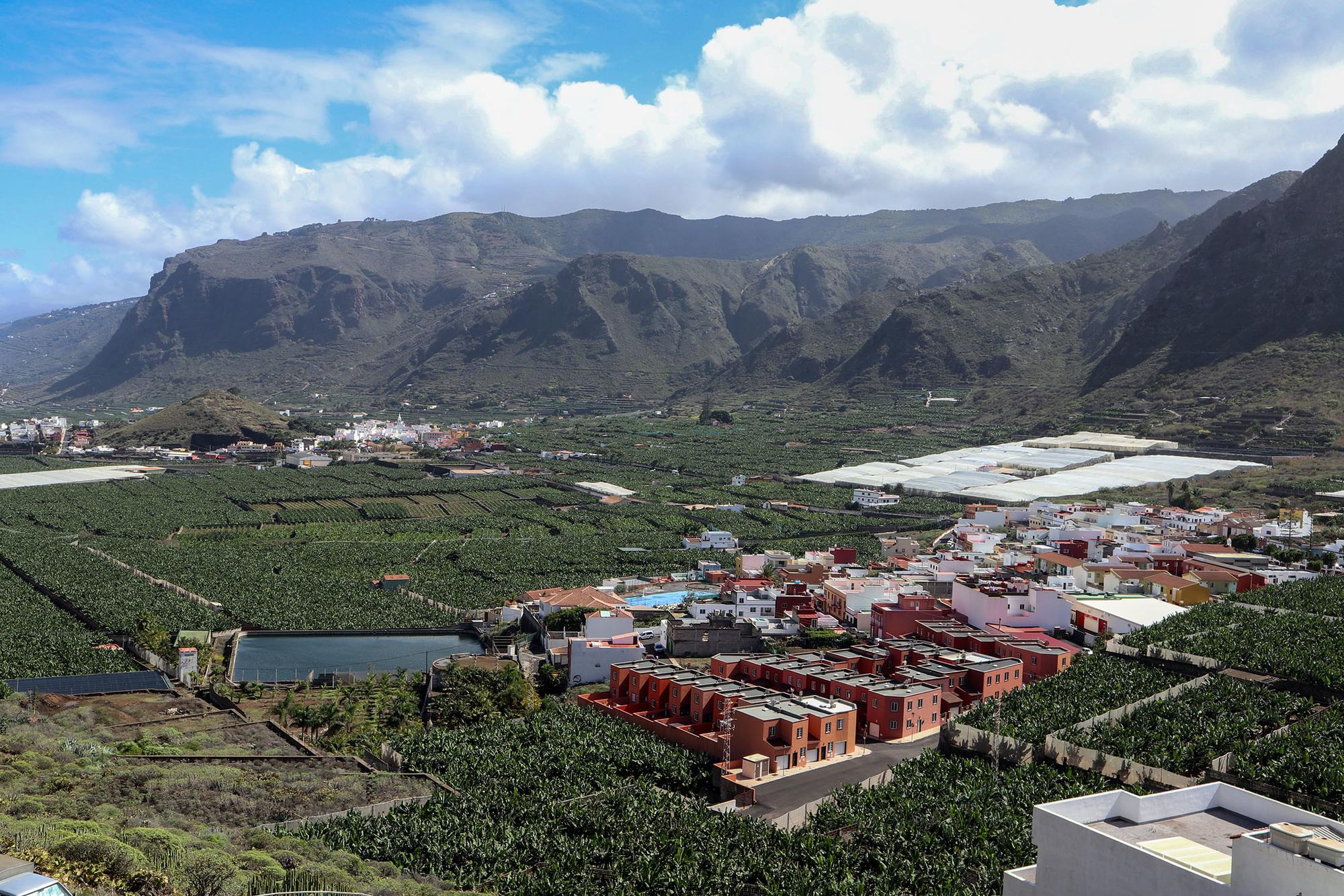 Isla Baja en Buenavista del Norte