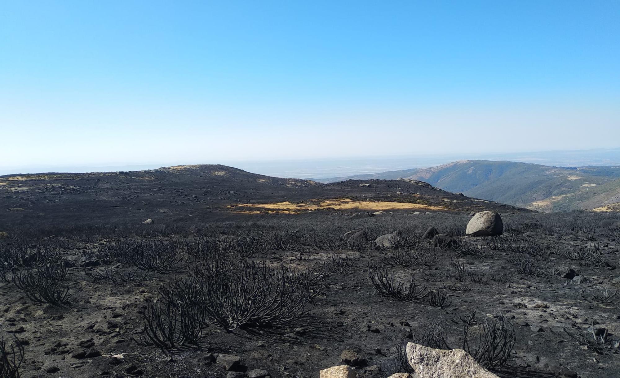 Incendio de la Vera 3