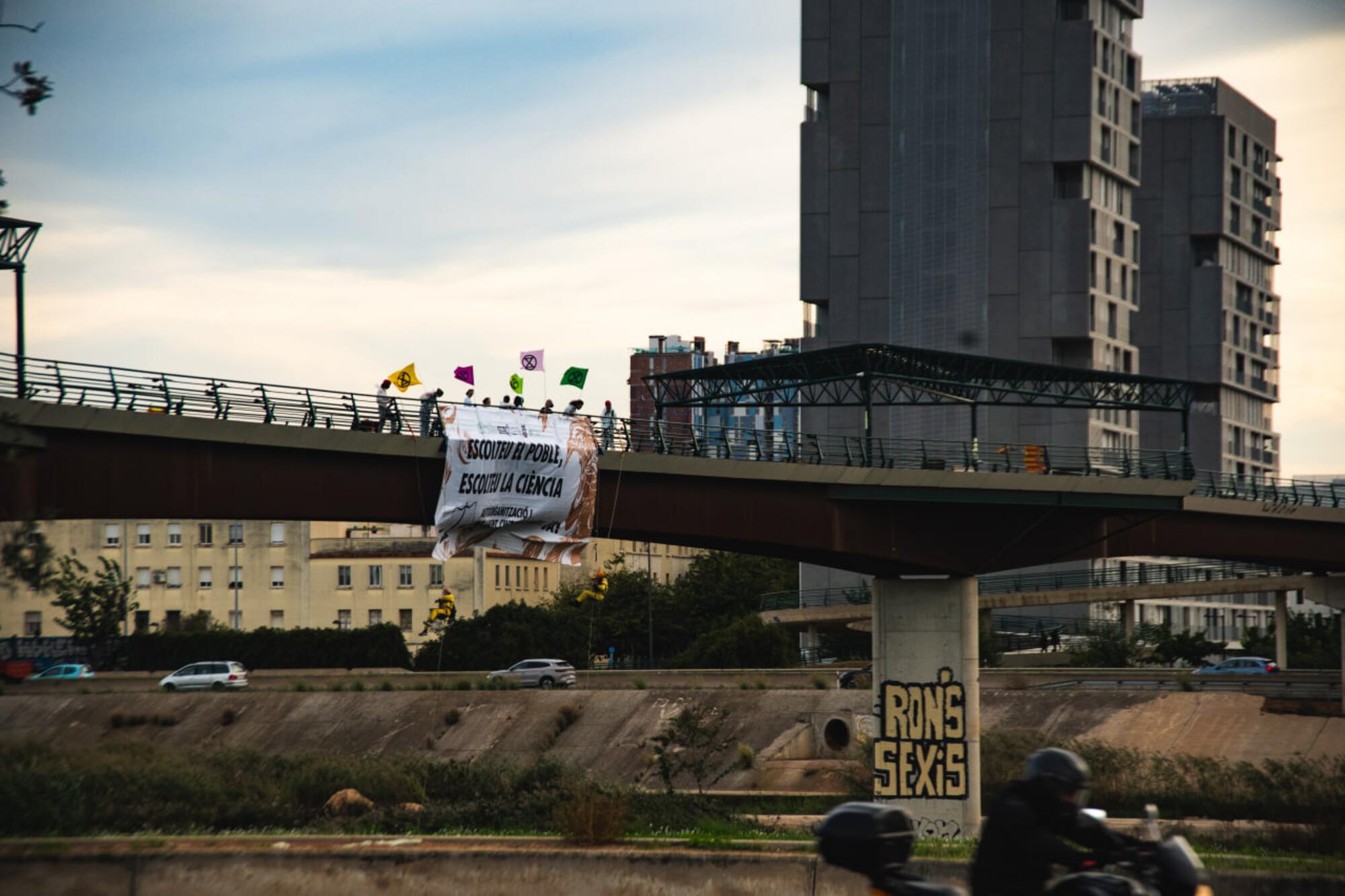 Puente Solidaridad Rebelión Científica 2