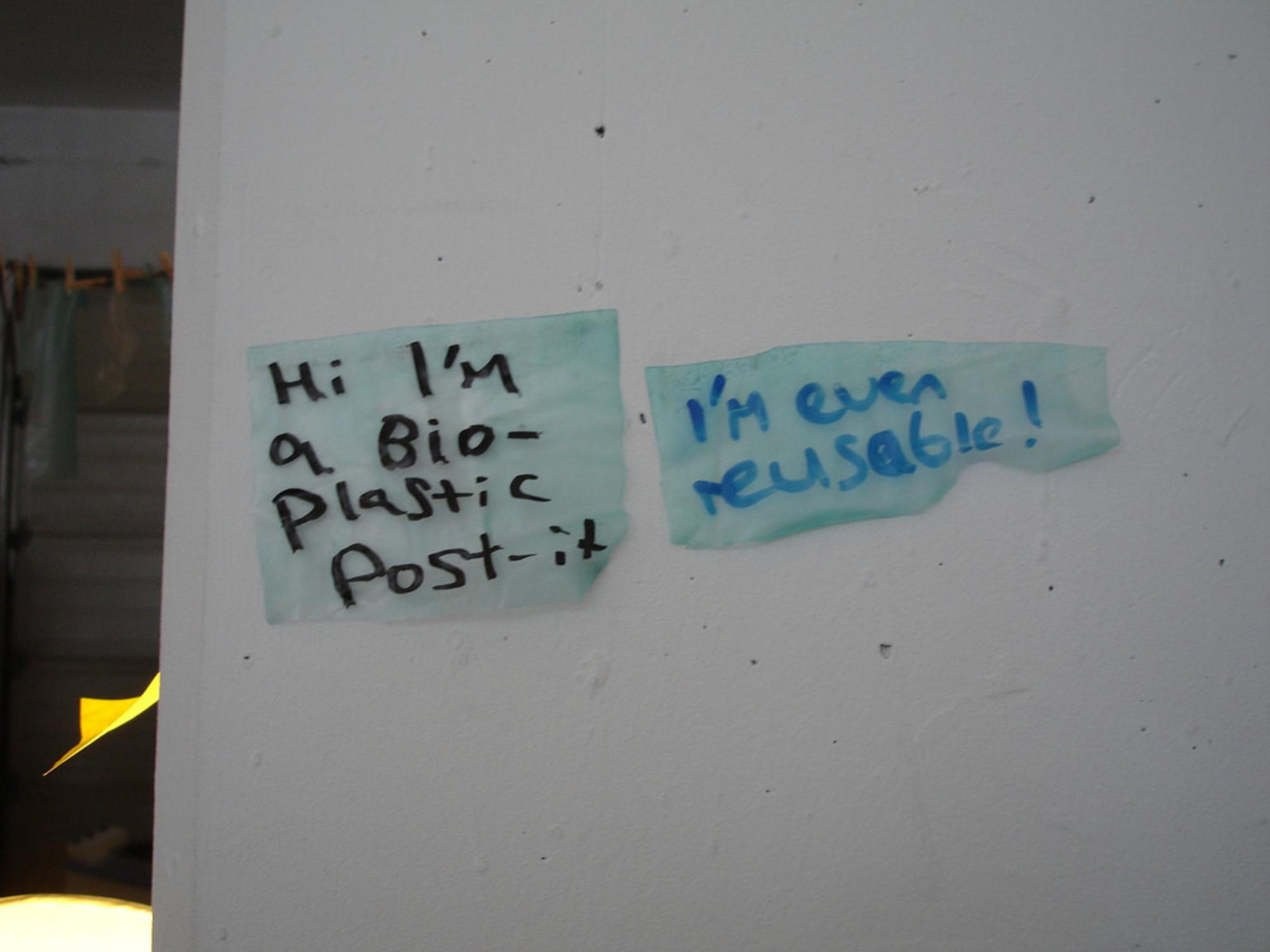 Bioplástico