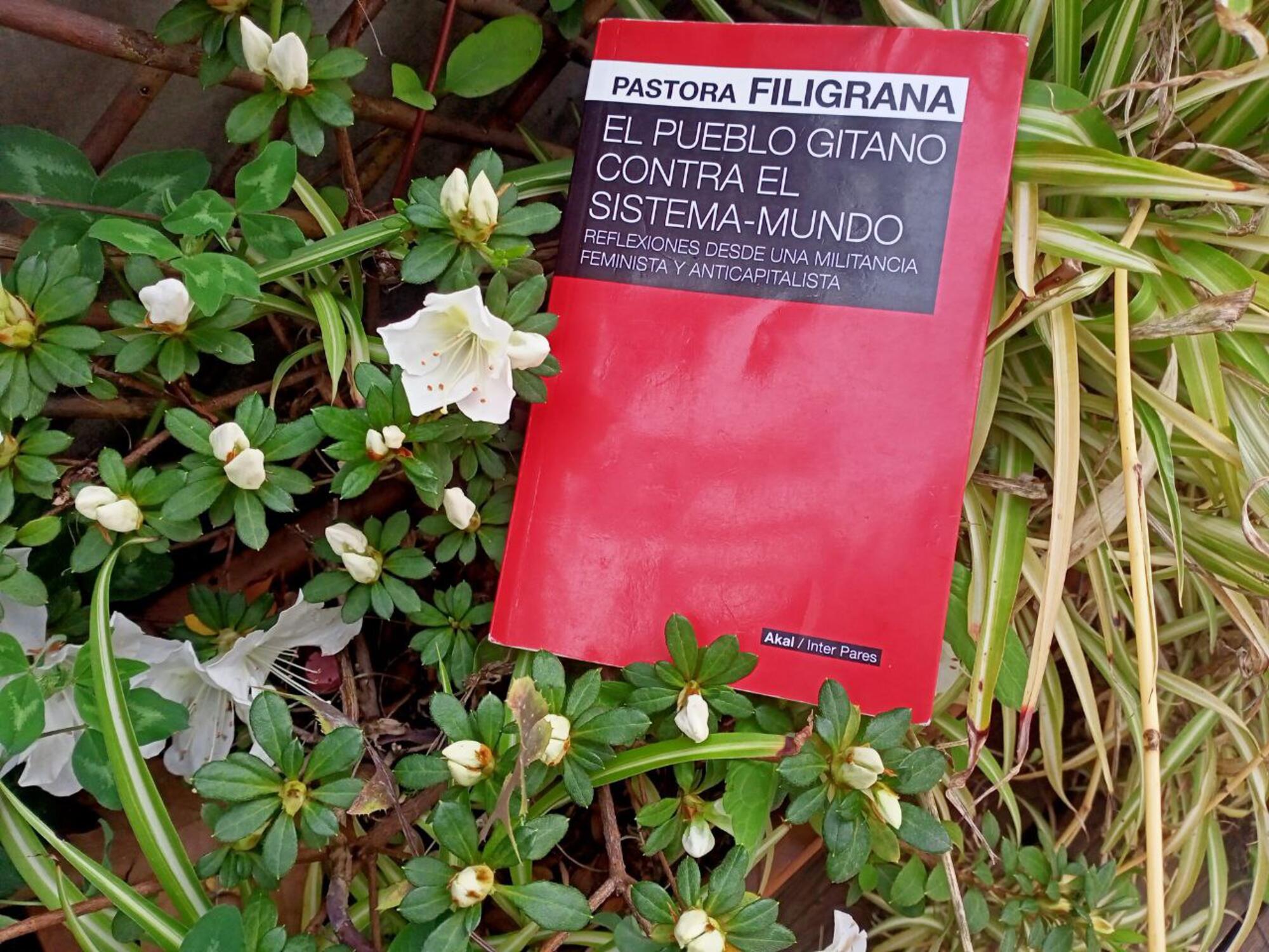 Portada de "El pueblo gitano contra el sistema-mundo" flores