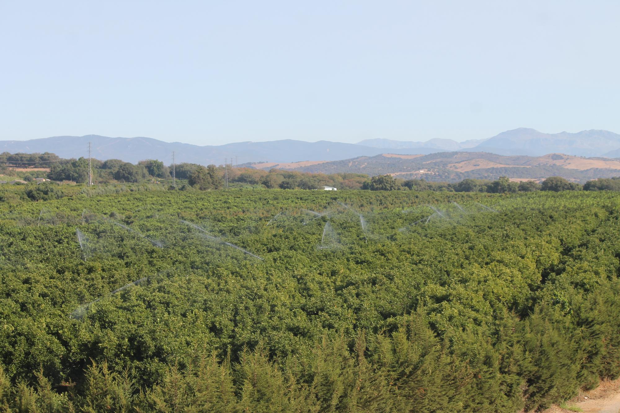 Reportaje Litoral Campo de Gibraltar 4