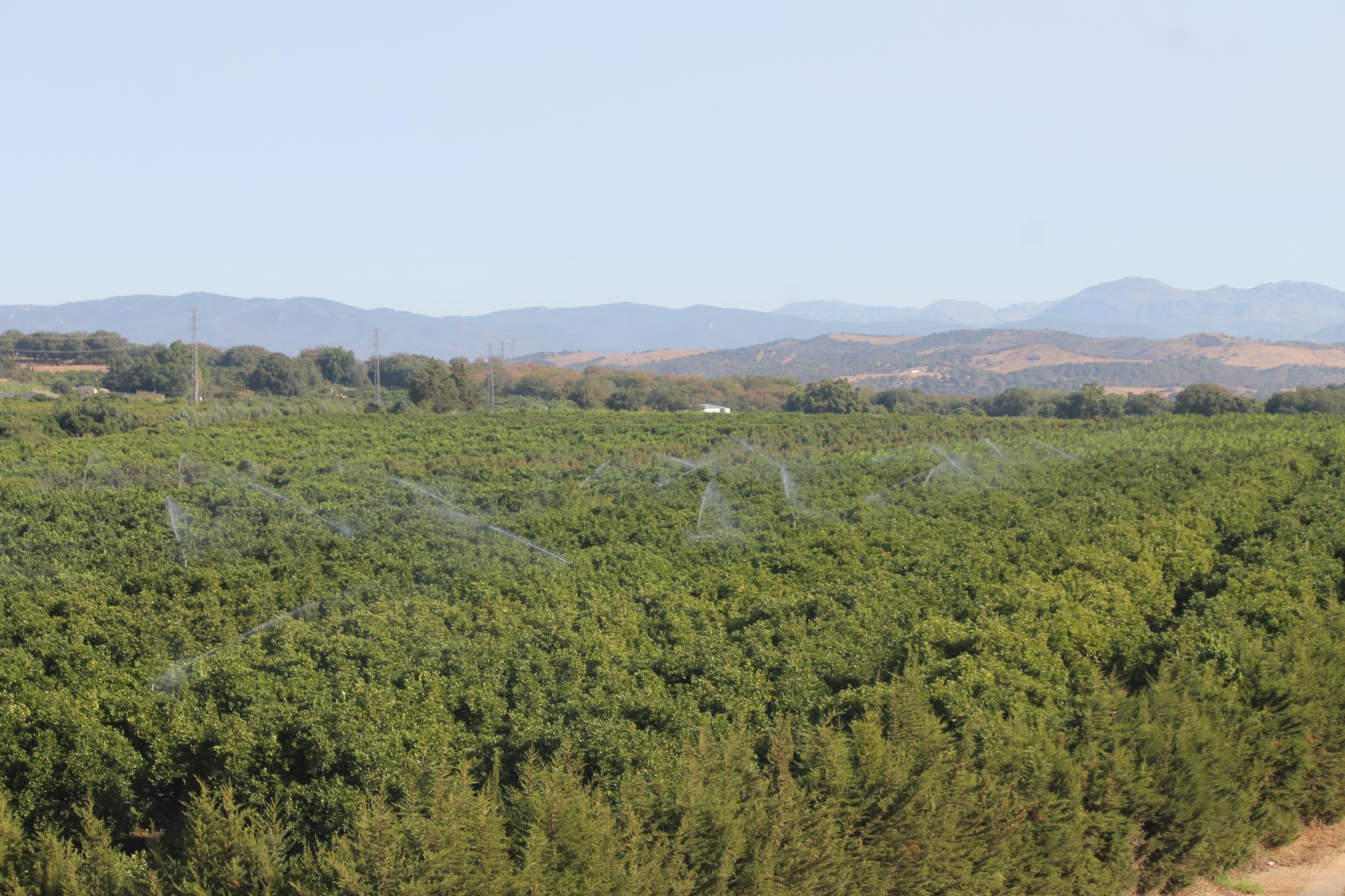 Reportaje Litoral Campo de Gibraltar 4