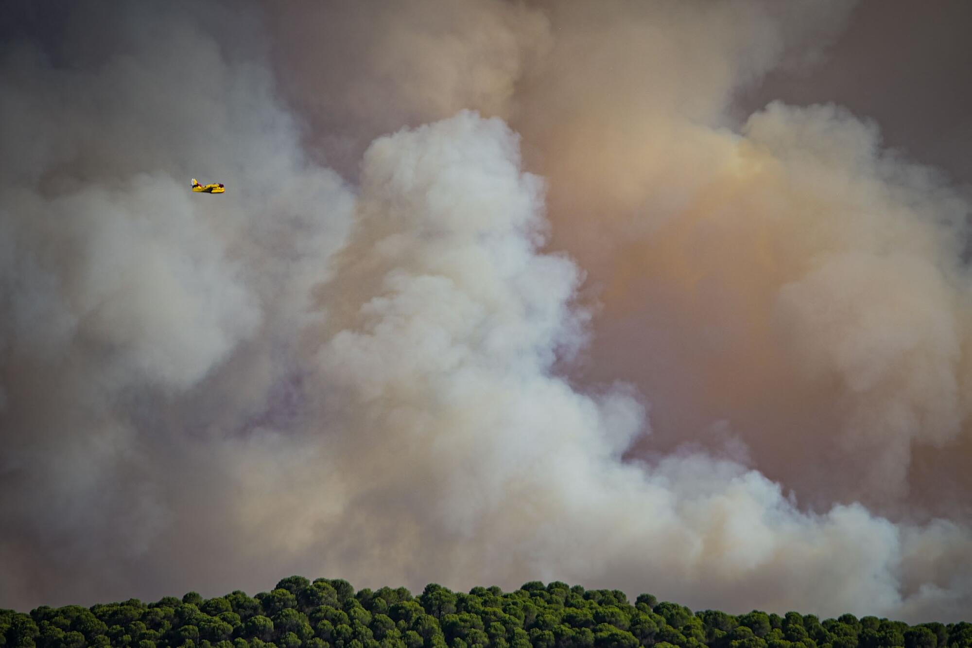 Incendio Niebla Huelva - 8
