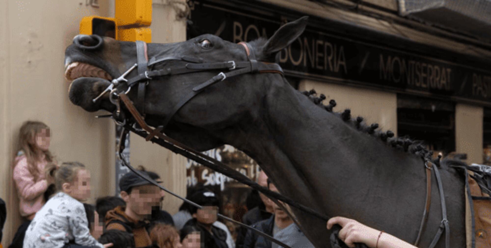 Caballo estresado