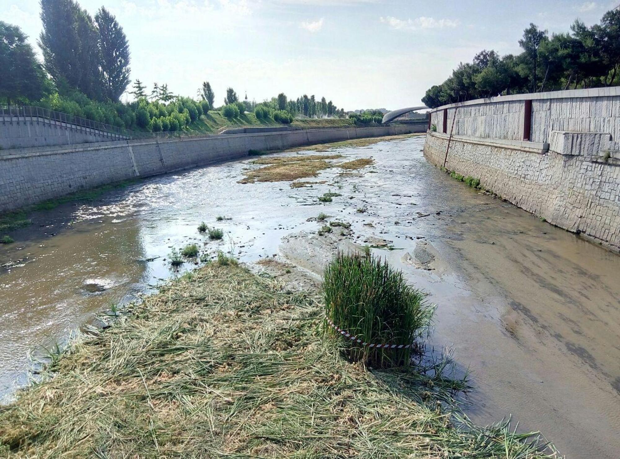 Río Manzanares desbrozado