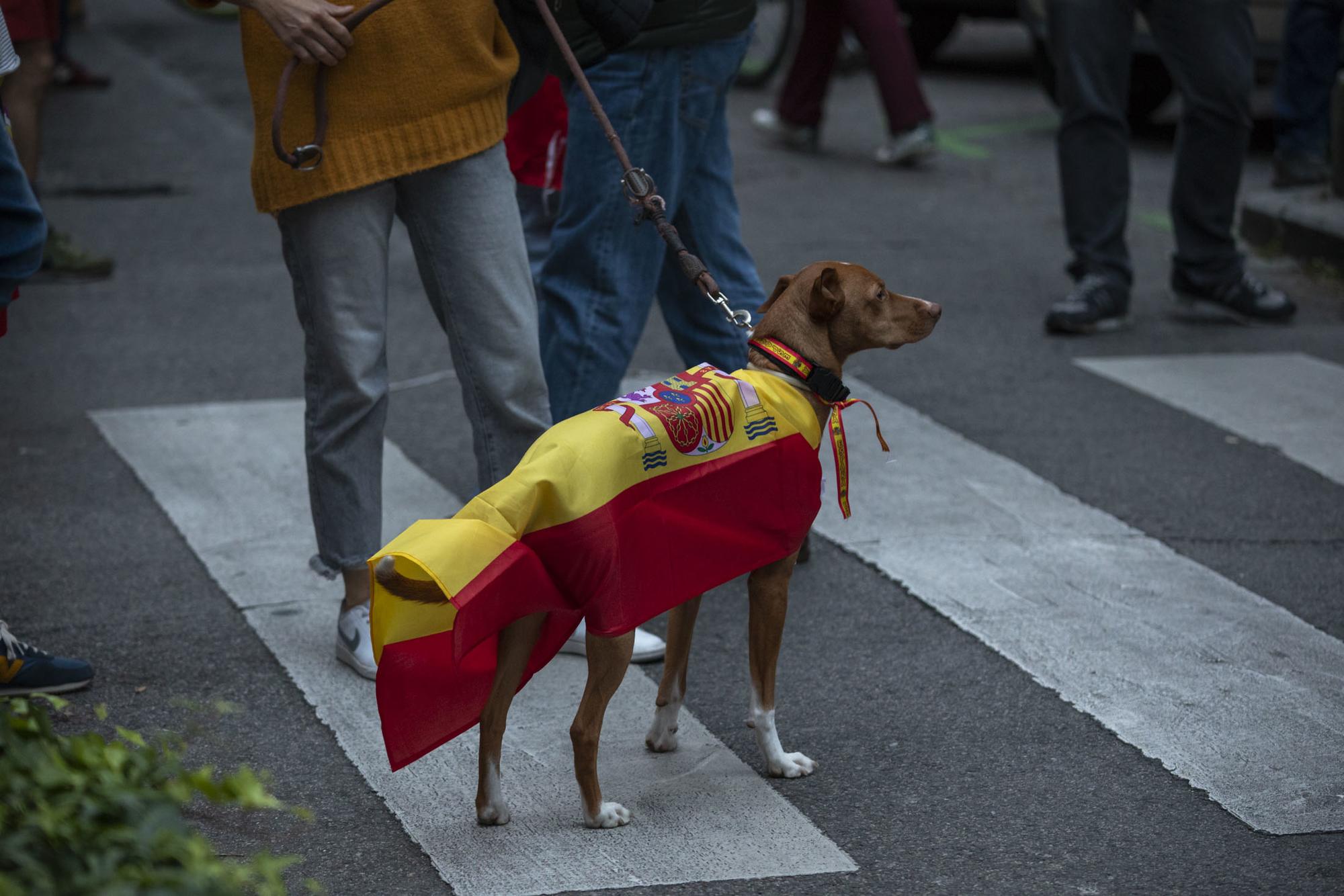 Manifestación facha contra gobierno barrio Salamanca  - 6