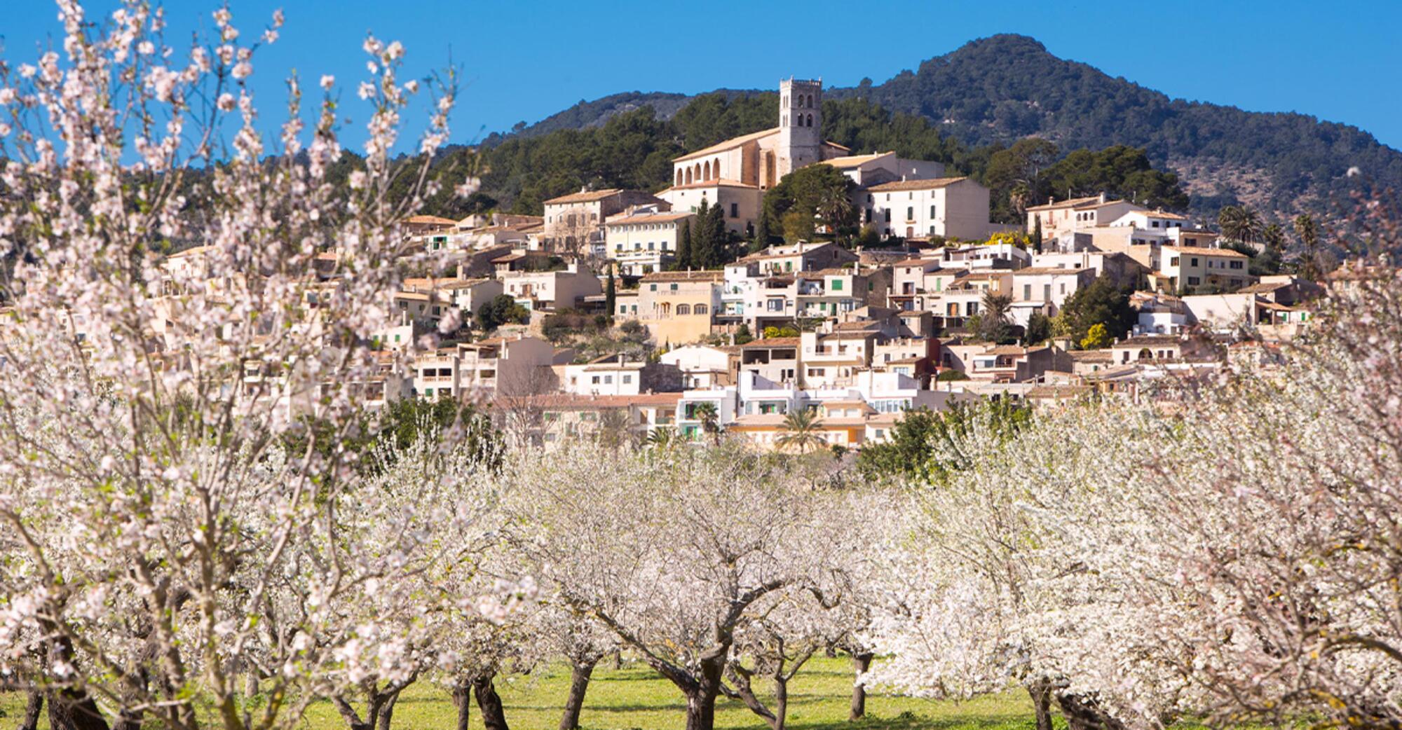 Selva, Mallorca