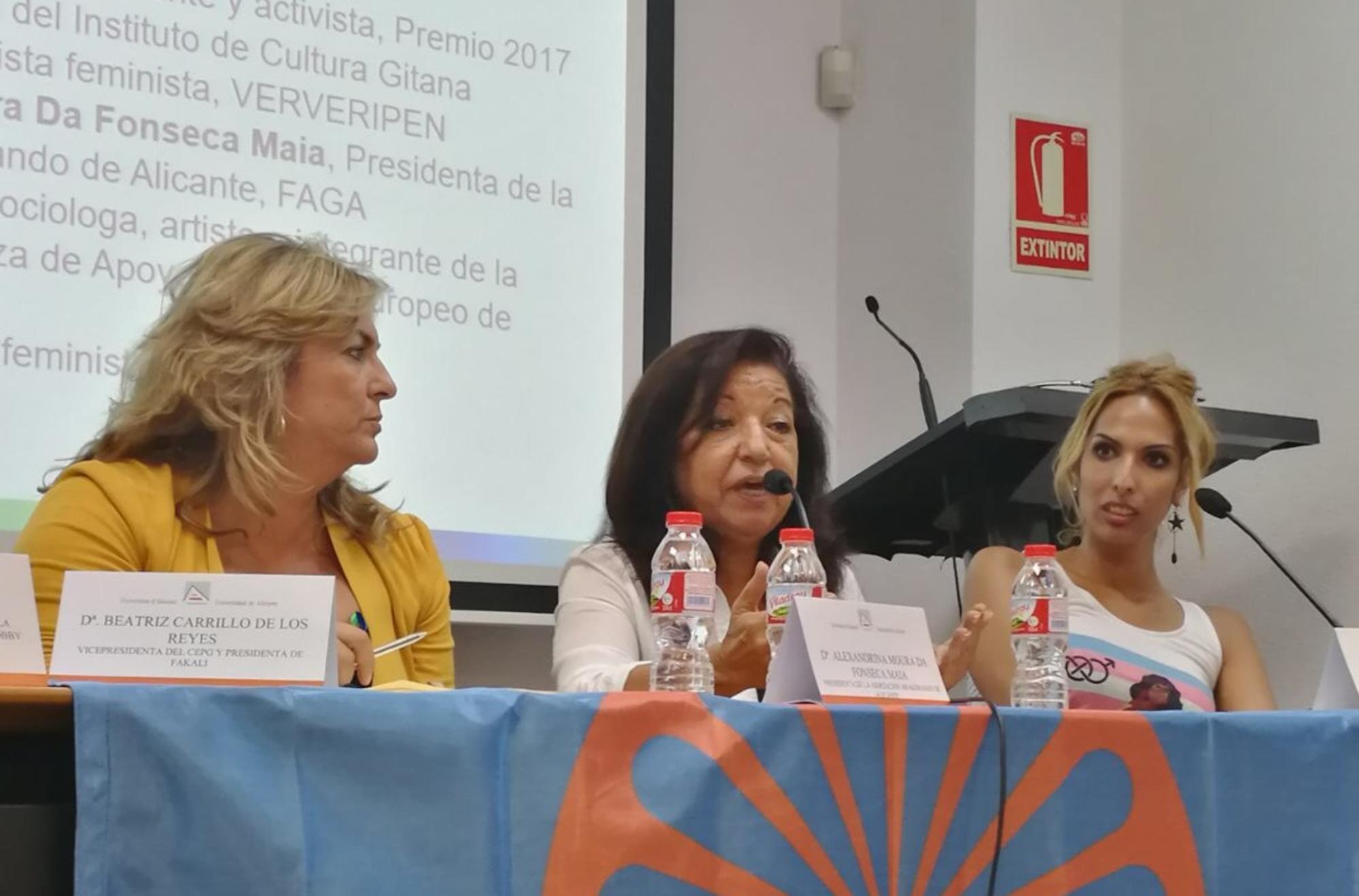 Gitanas Feministas Congreso