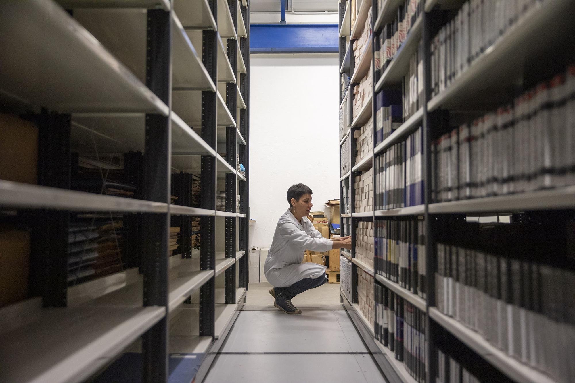 Archivo de la FAL
