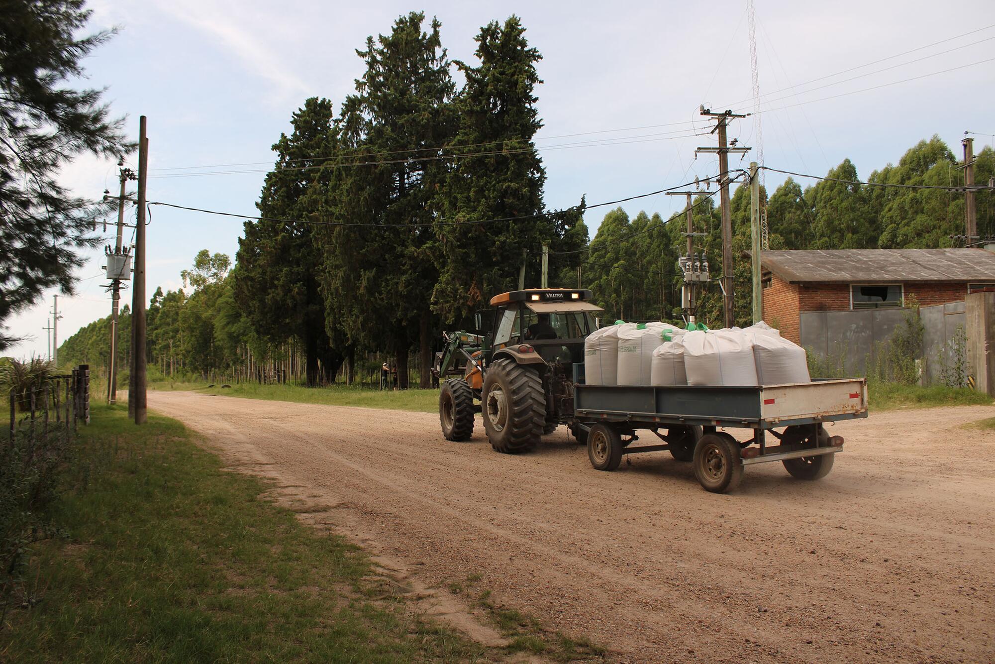 Planta Hidrogeno Verde Uruguay - 5