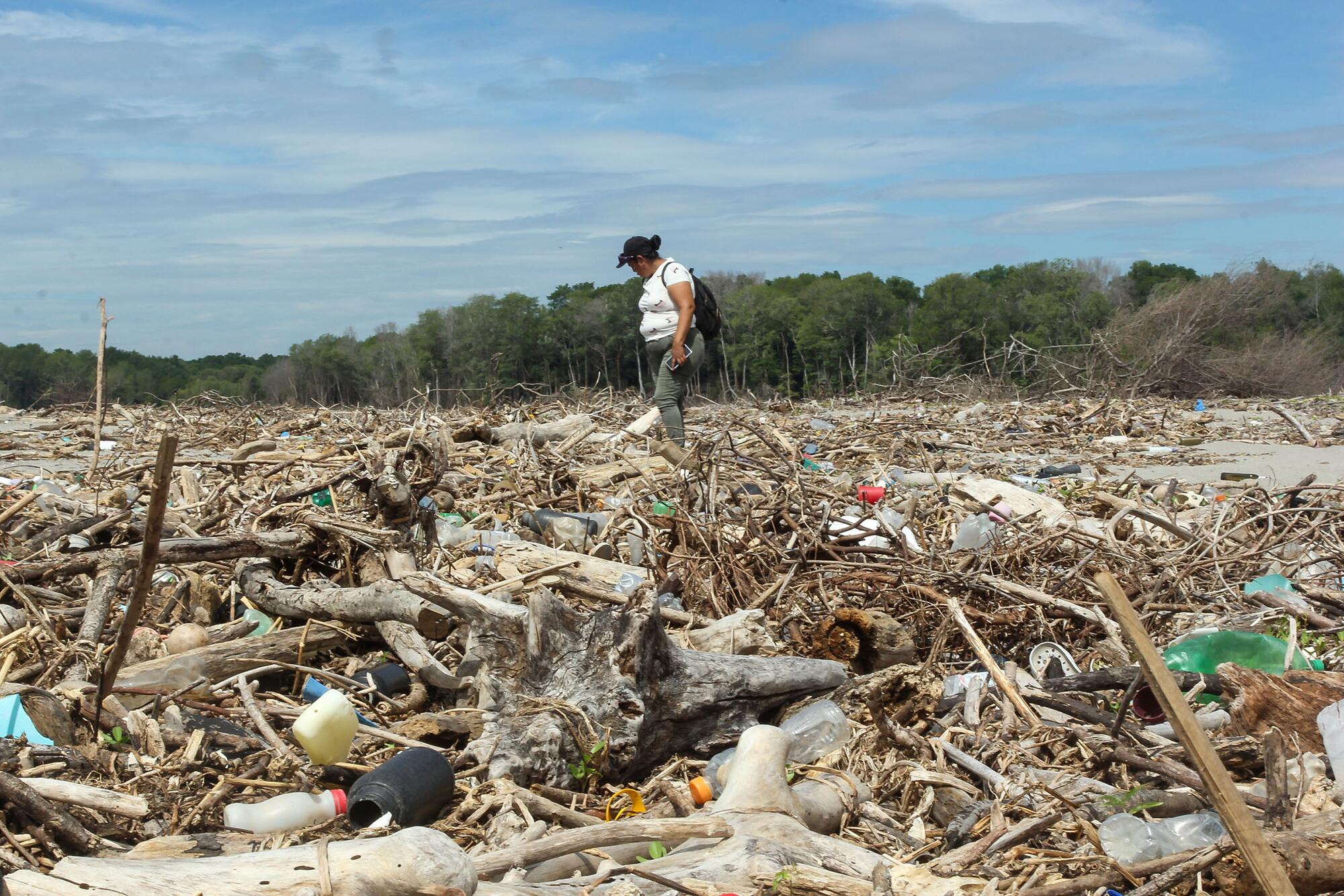 Manglares El Salvador - 1