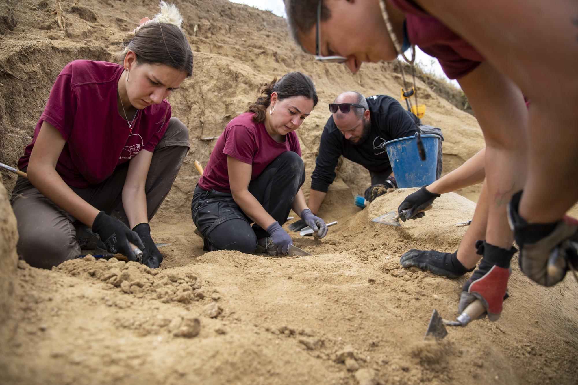 Galeria excavacion Brunete - 1