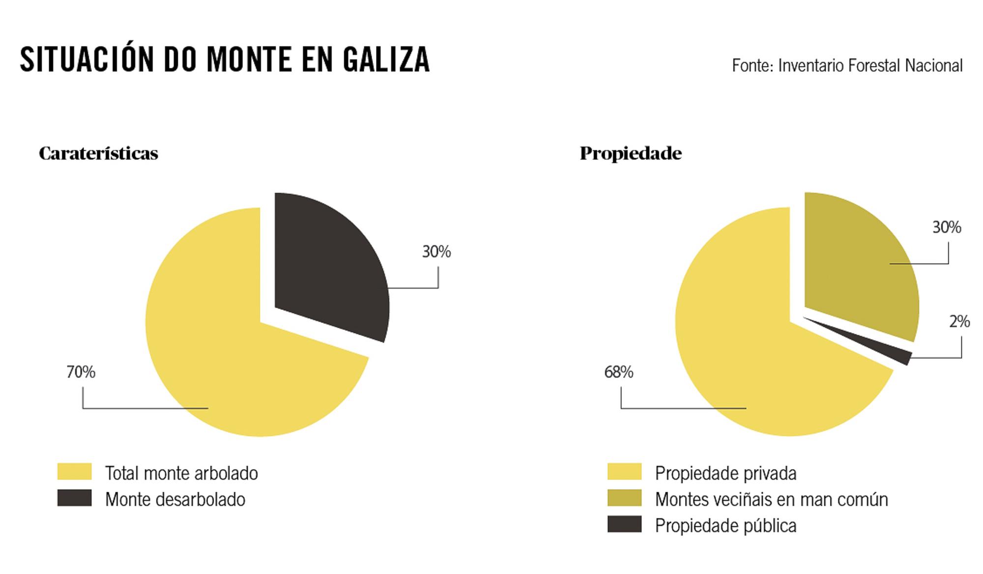 situación monte eucalipto