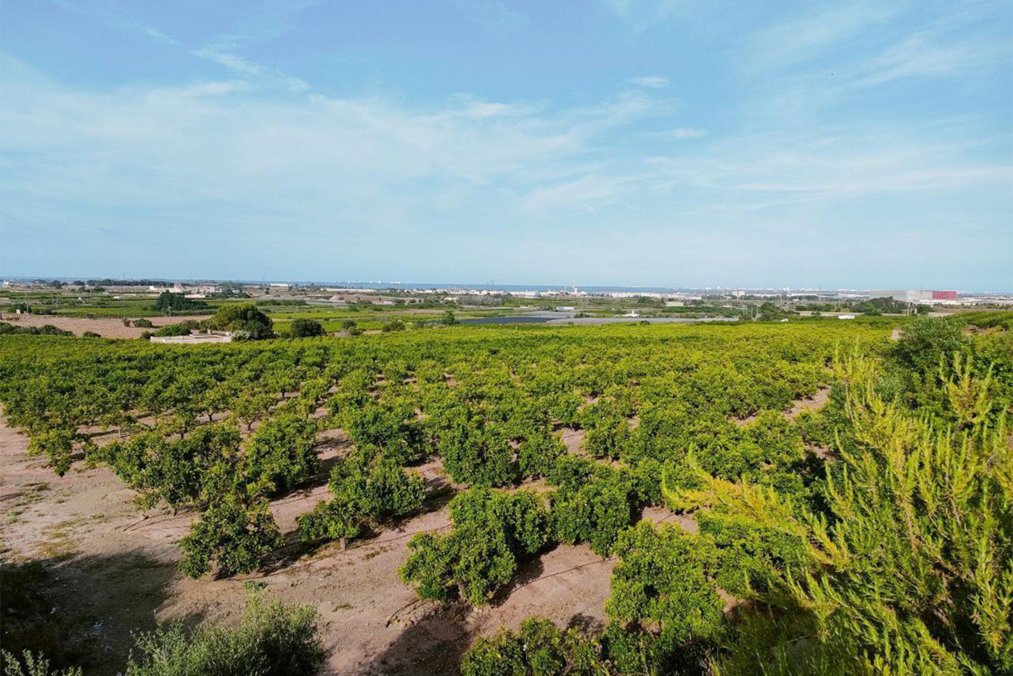 Centro de datos Directa - 1