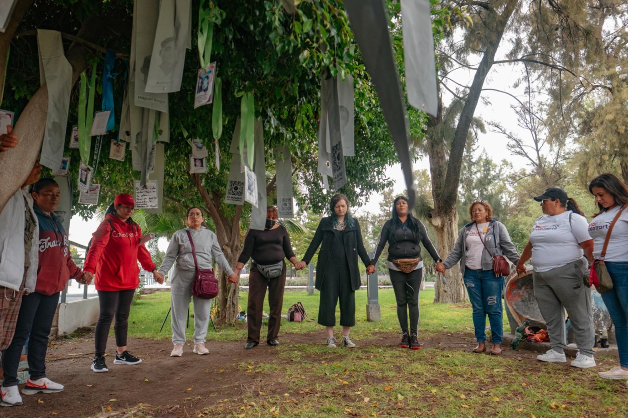 El bosque de la Esperanza portada