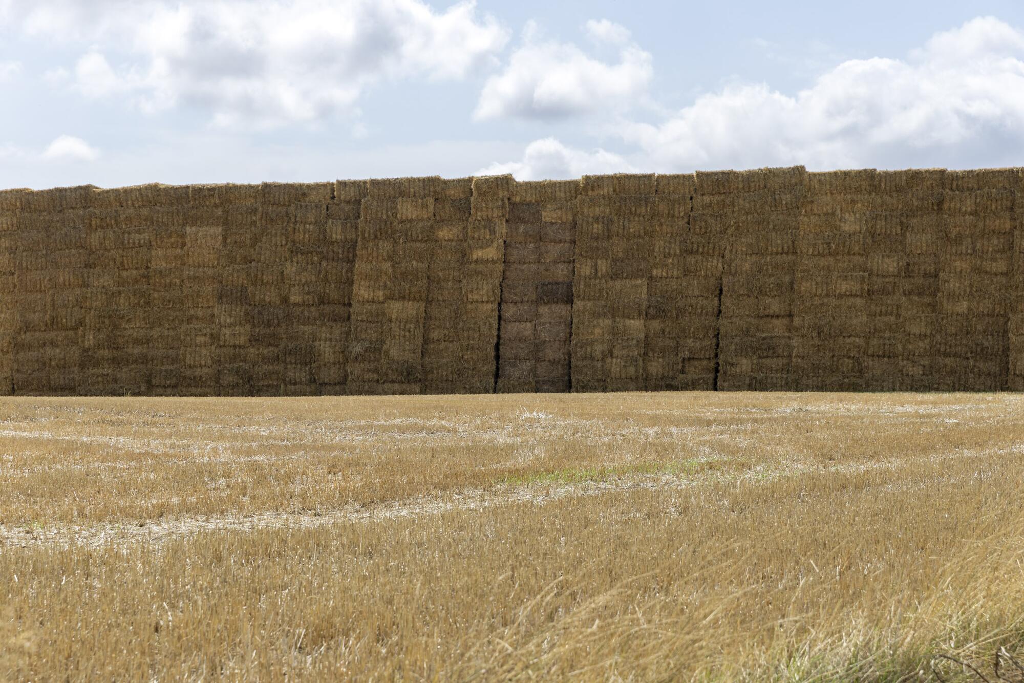 Pacas de paja Navarra