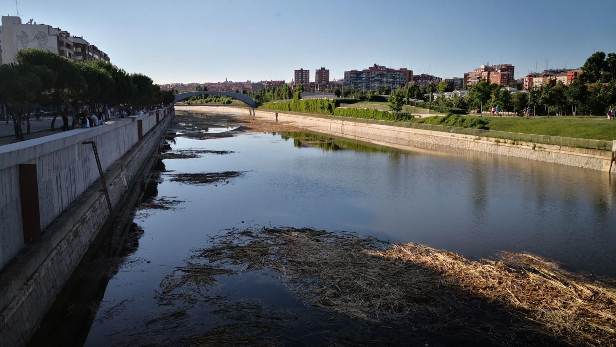 rio manzanares canal remo