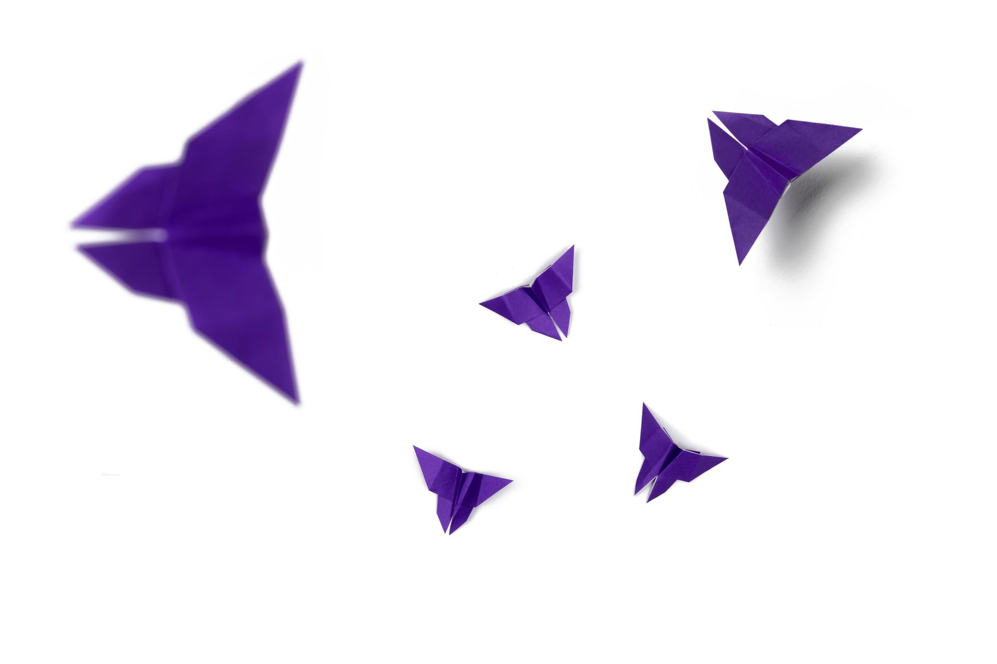 Mariposas Panorama Justicia Feminista