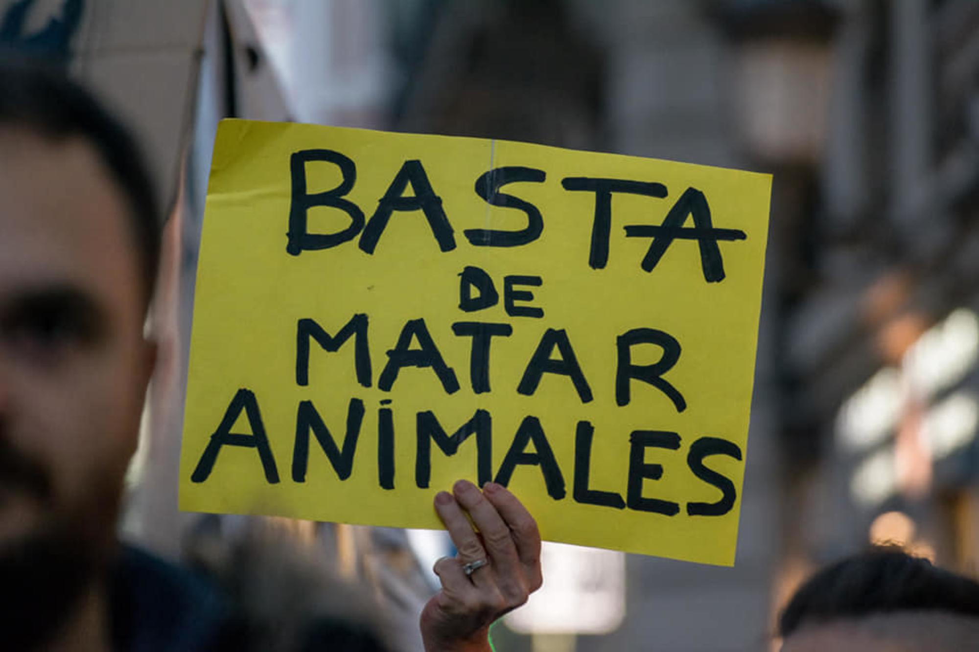 Basta de matar animales