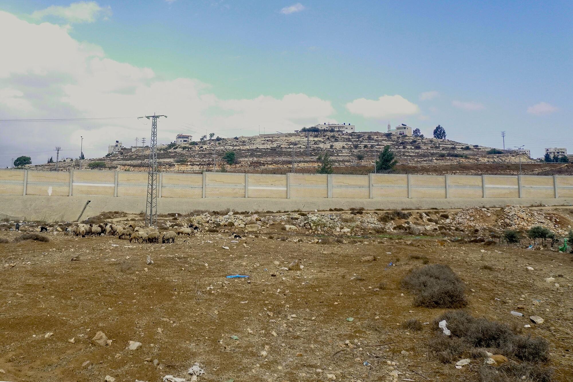 Cisjordania Bir Nabala muro - 2