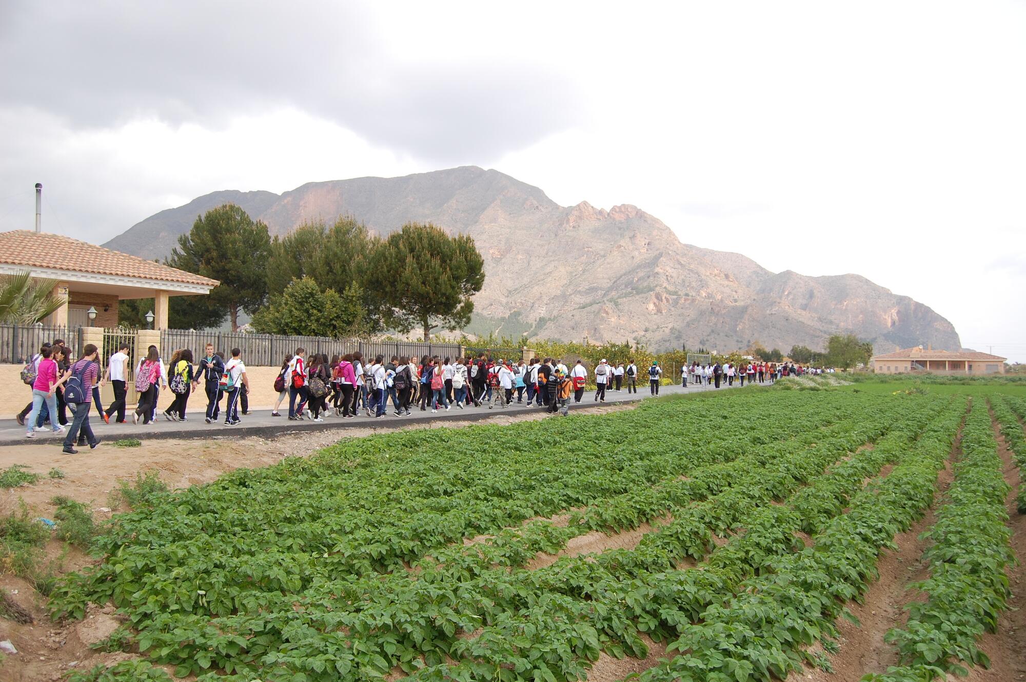 La Senda del Poeta por Miguel Hernández, caminando hacia Redován