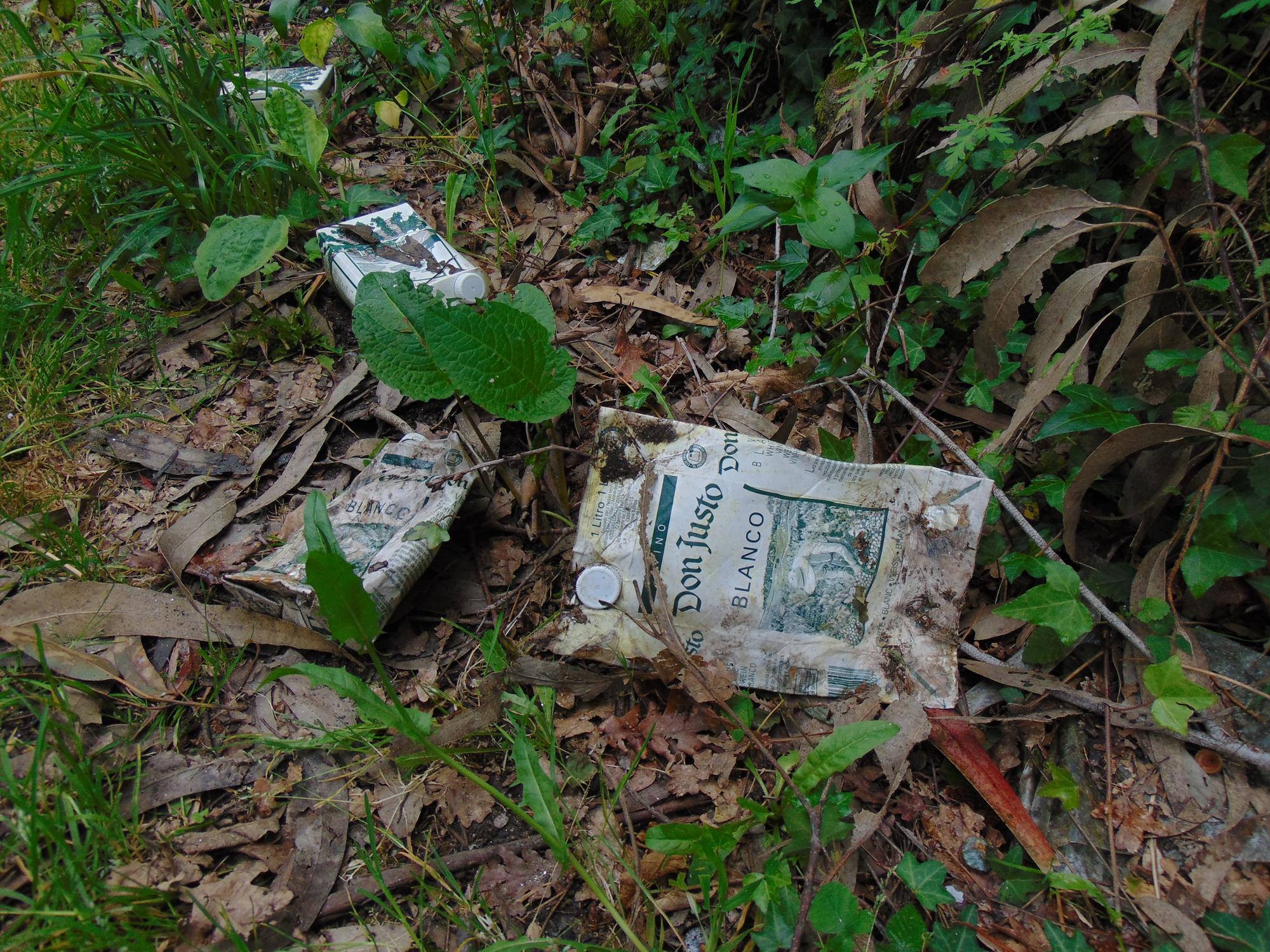 Alcoholismo no rural