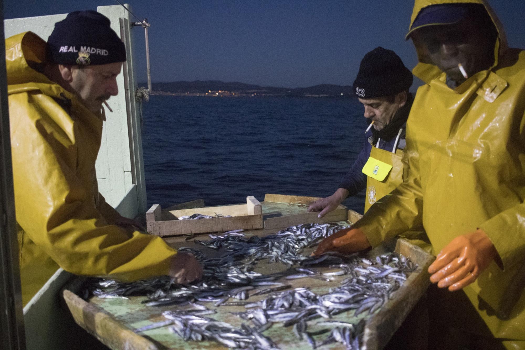 Pesca Barceloneta 2