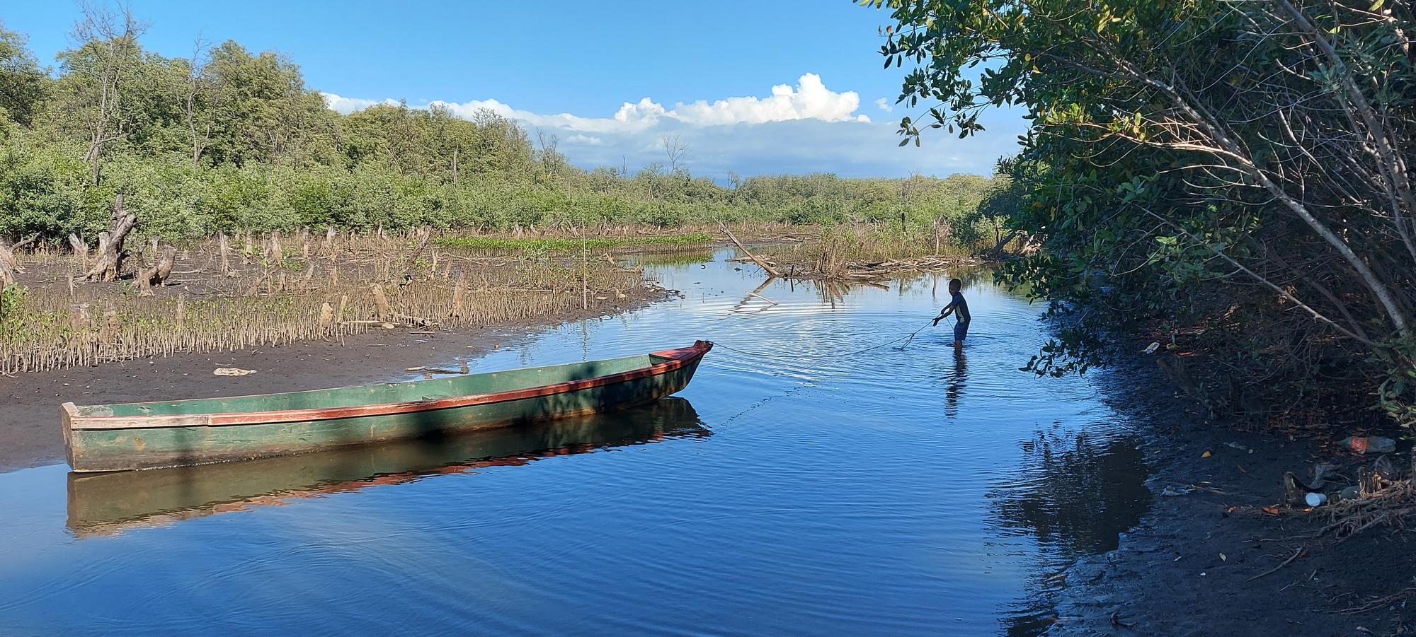 Botoncillo El Salvador