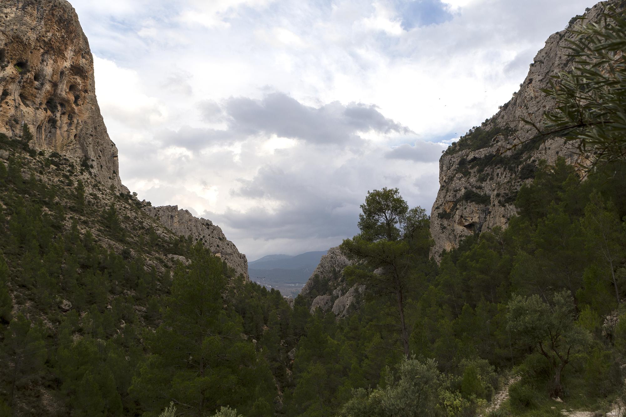 Vistas al Barranc del Cinc