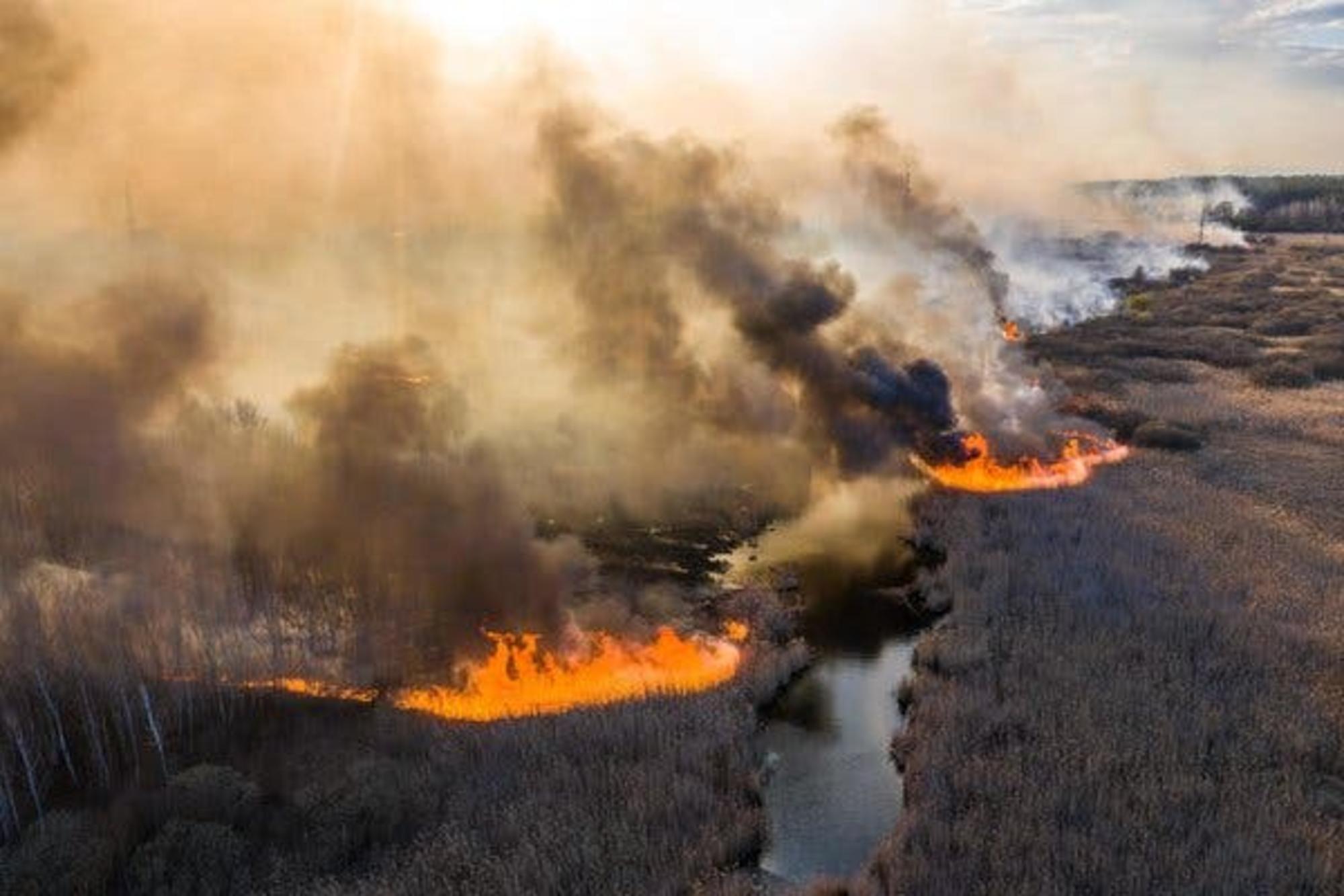 Incendio en la zona de Chernóbil. Abril, 2020.