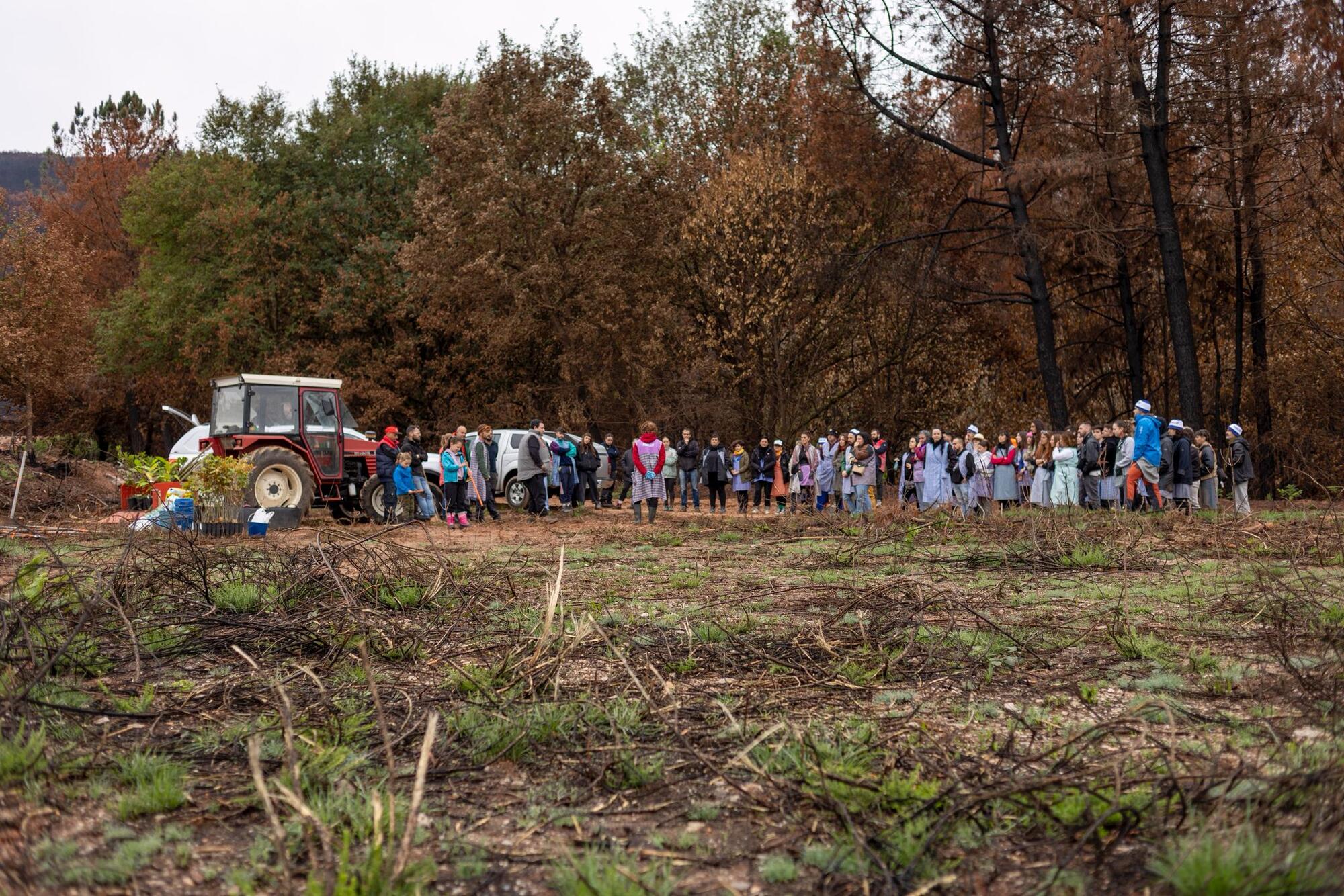 Romería Ponte Farruca 2025