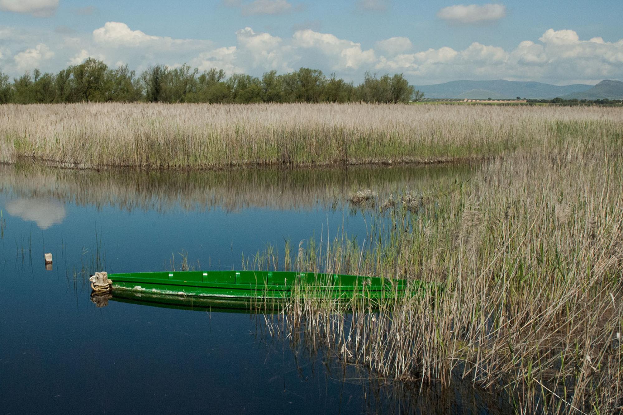 Tablas de Daimiel