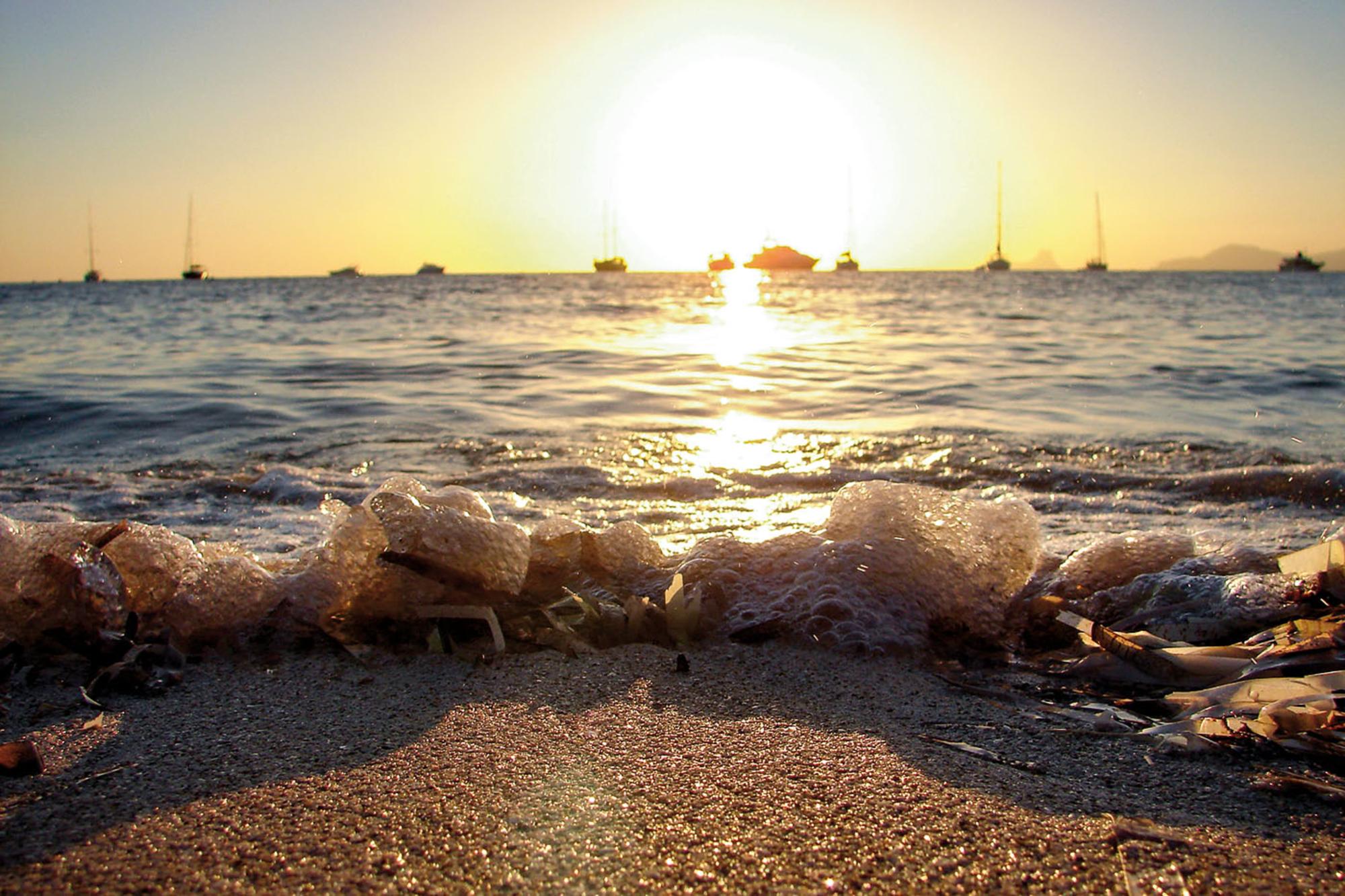 posidonia ses illetes